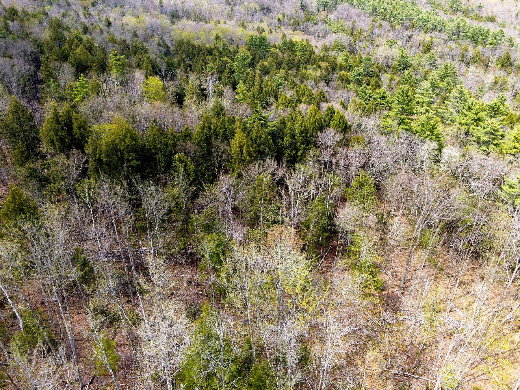 Tm 413 L 99 King Road Property Photo 13