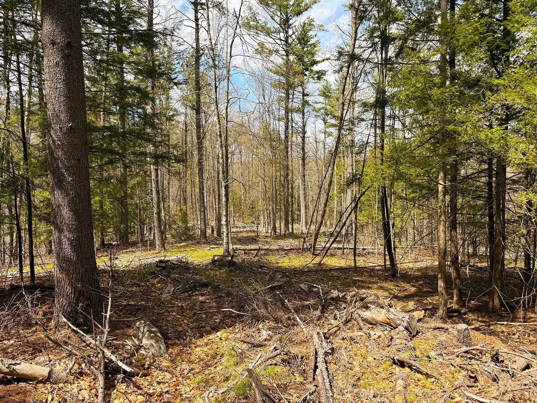 Tm 413 L 99 King Road Property Photo 22