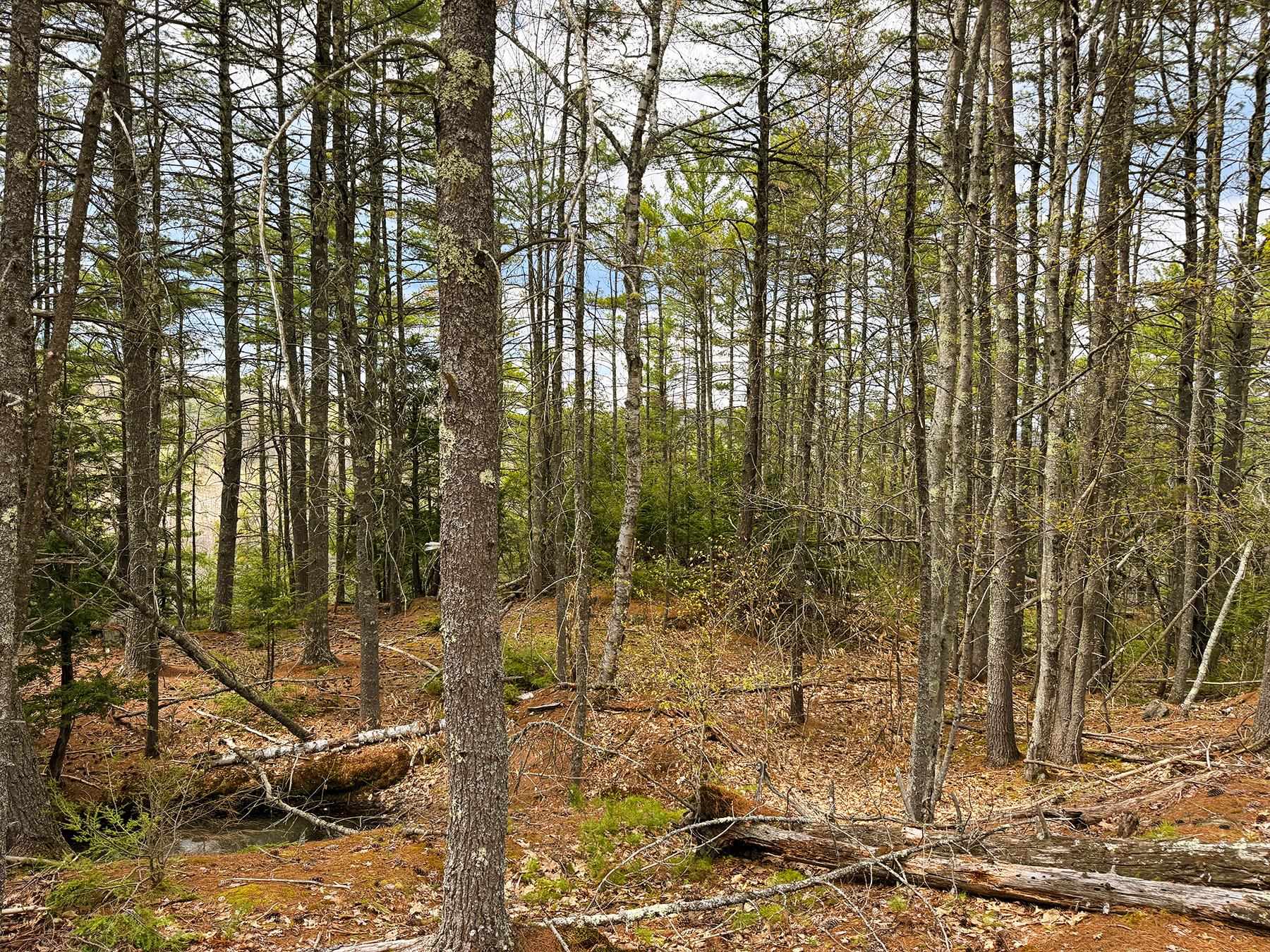 Tm 413 L 99 King Road Property Photo 27