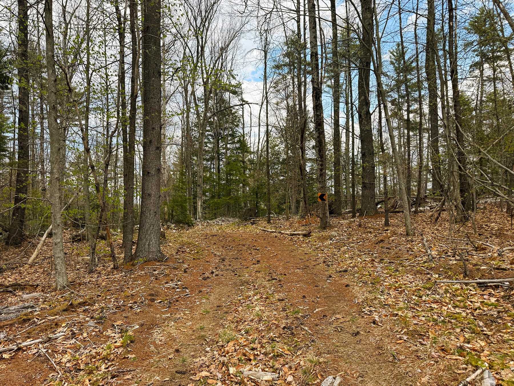 Tm 413 L 99 King Road Property Photo 33