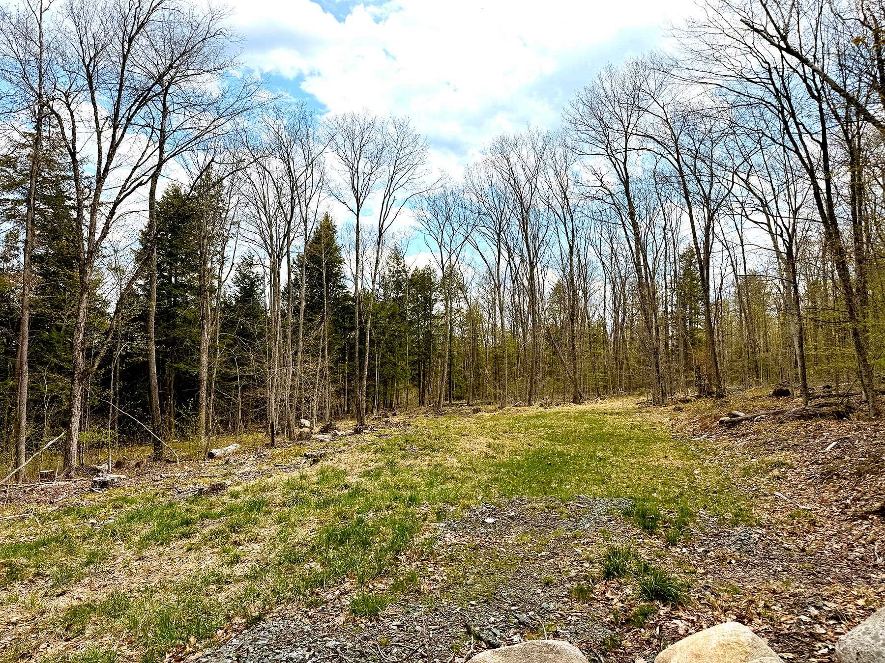 Tm 413 L 99 King Road Property Photo 34