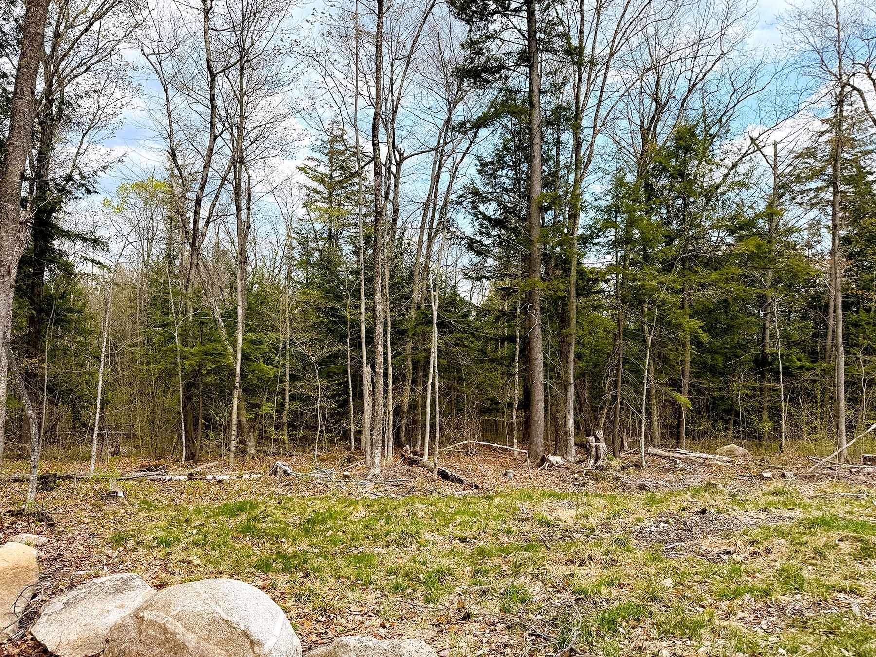 Tm 413 L 99 King Road Property Photo 35