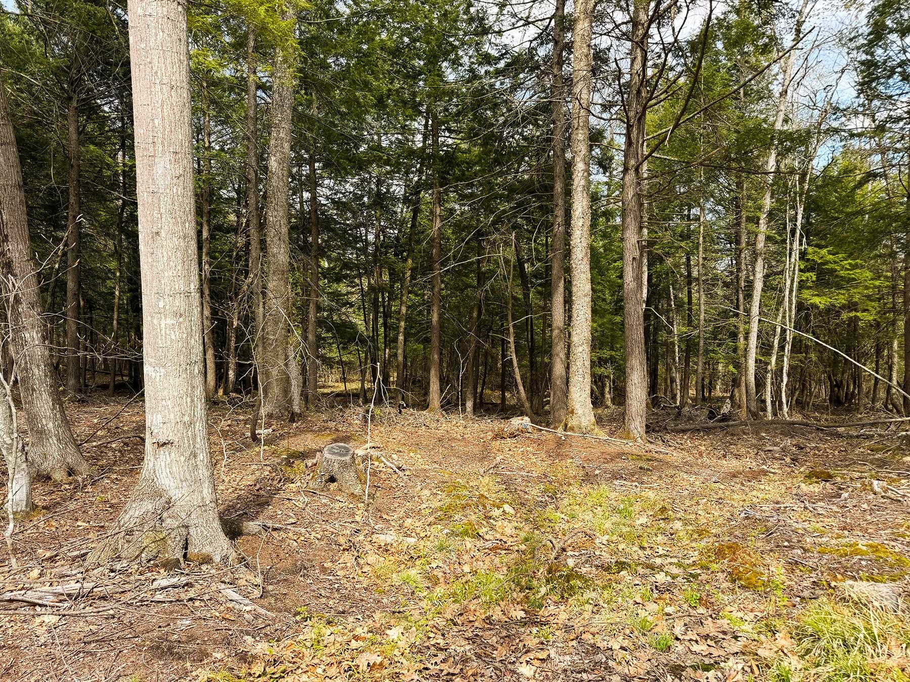 Tm 413 L 99 King Road Property Photo 36