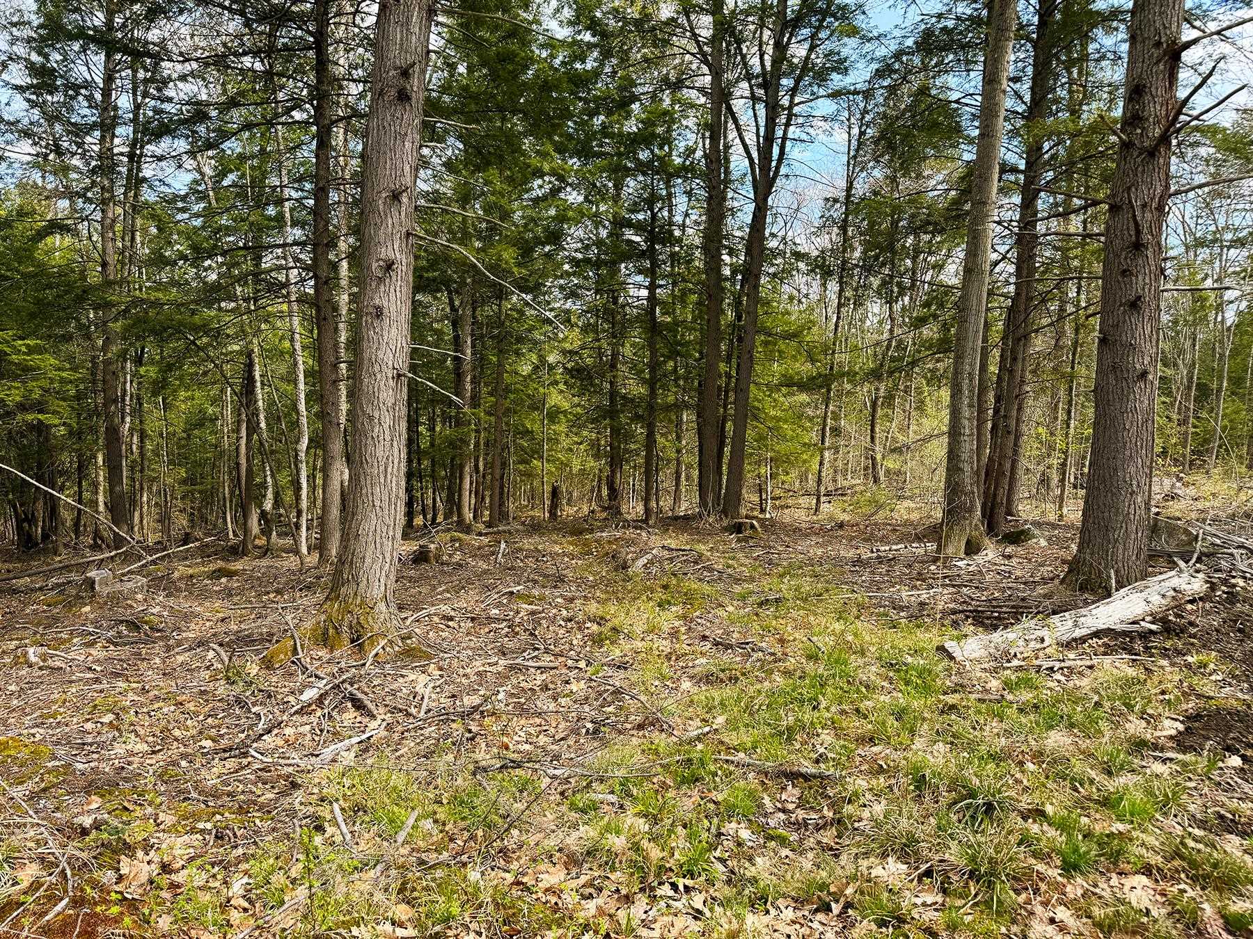 Tm 413 L 99 King Road Property Photo 37