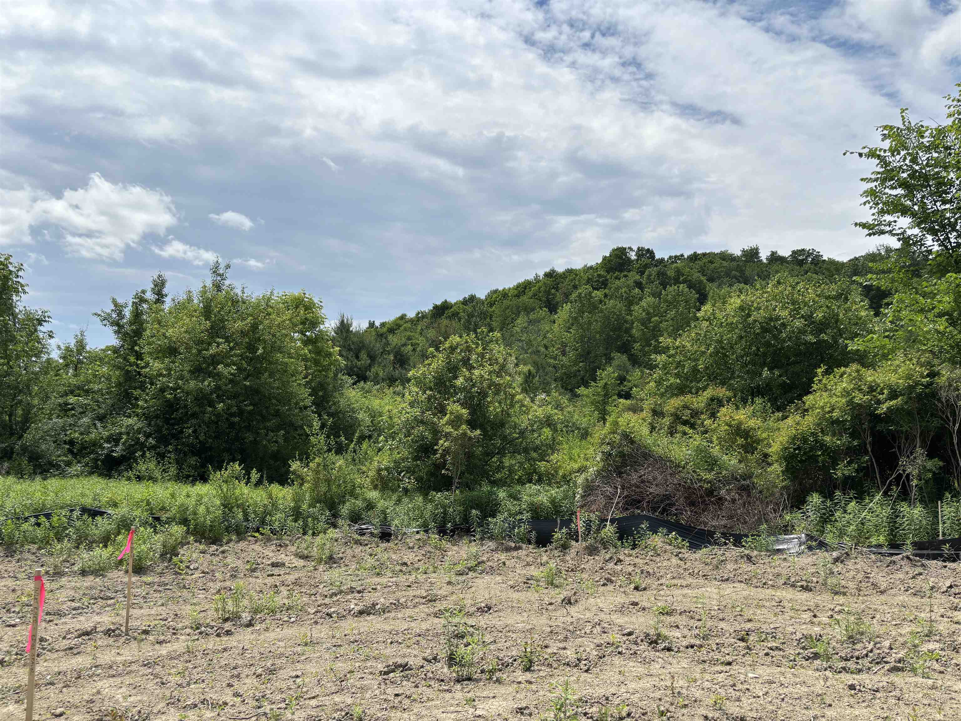 Tbd Cvu Road Property Photo 12