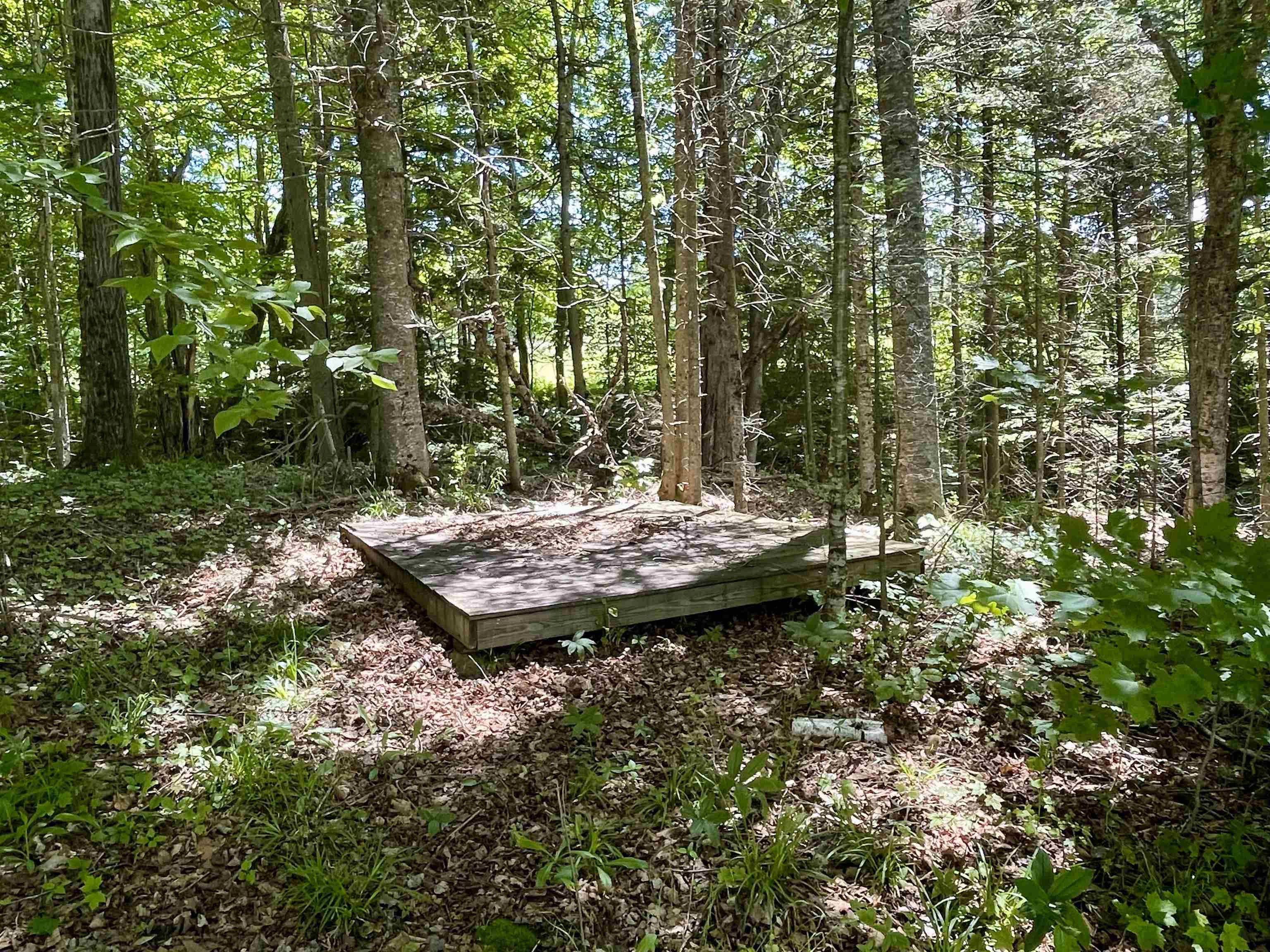 1258 Pinkham Road Property Photo 37