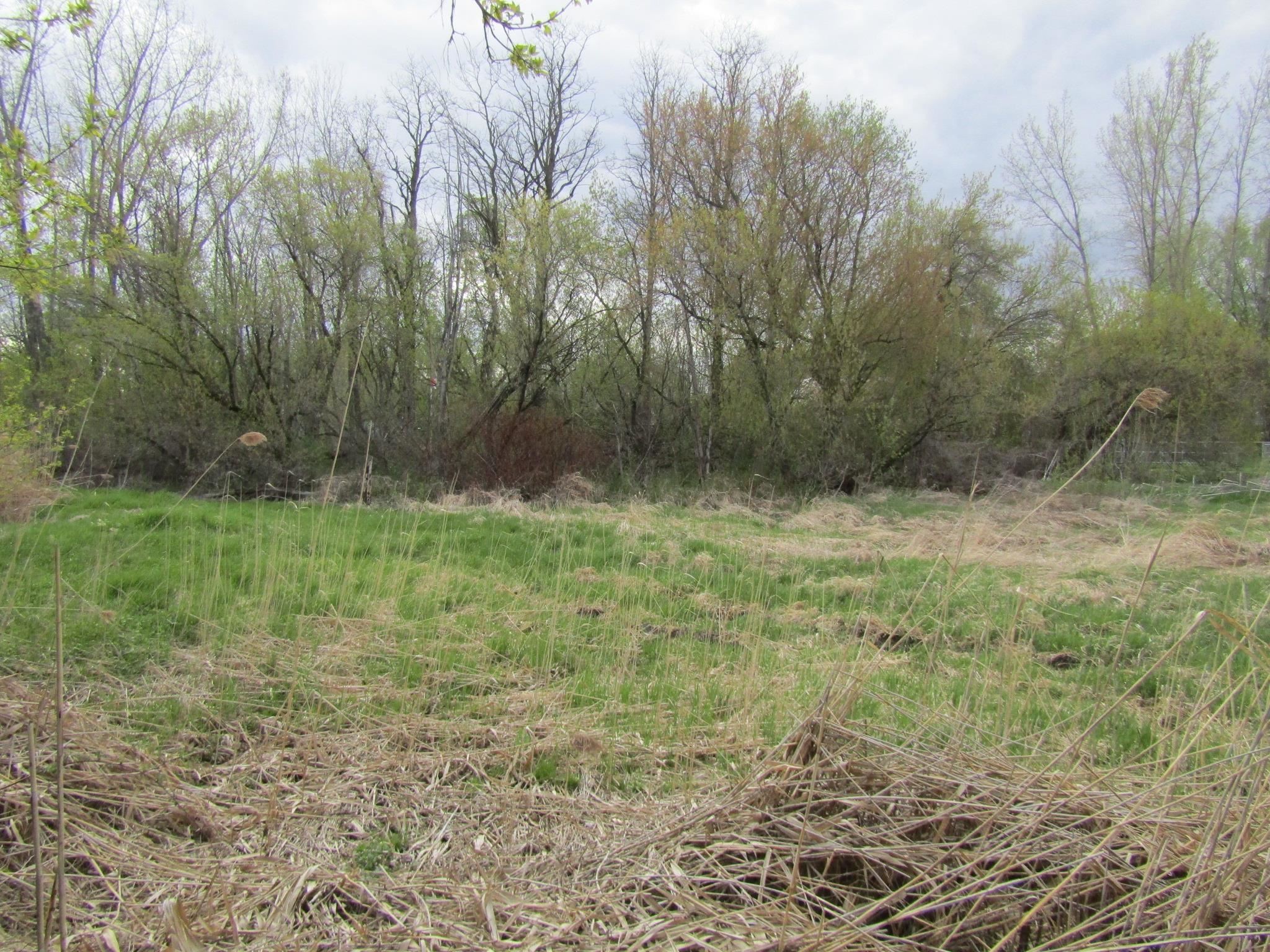 168 Border Road Property Photo 1