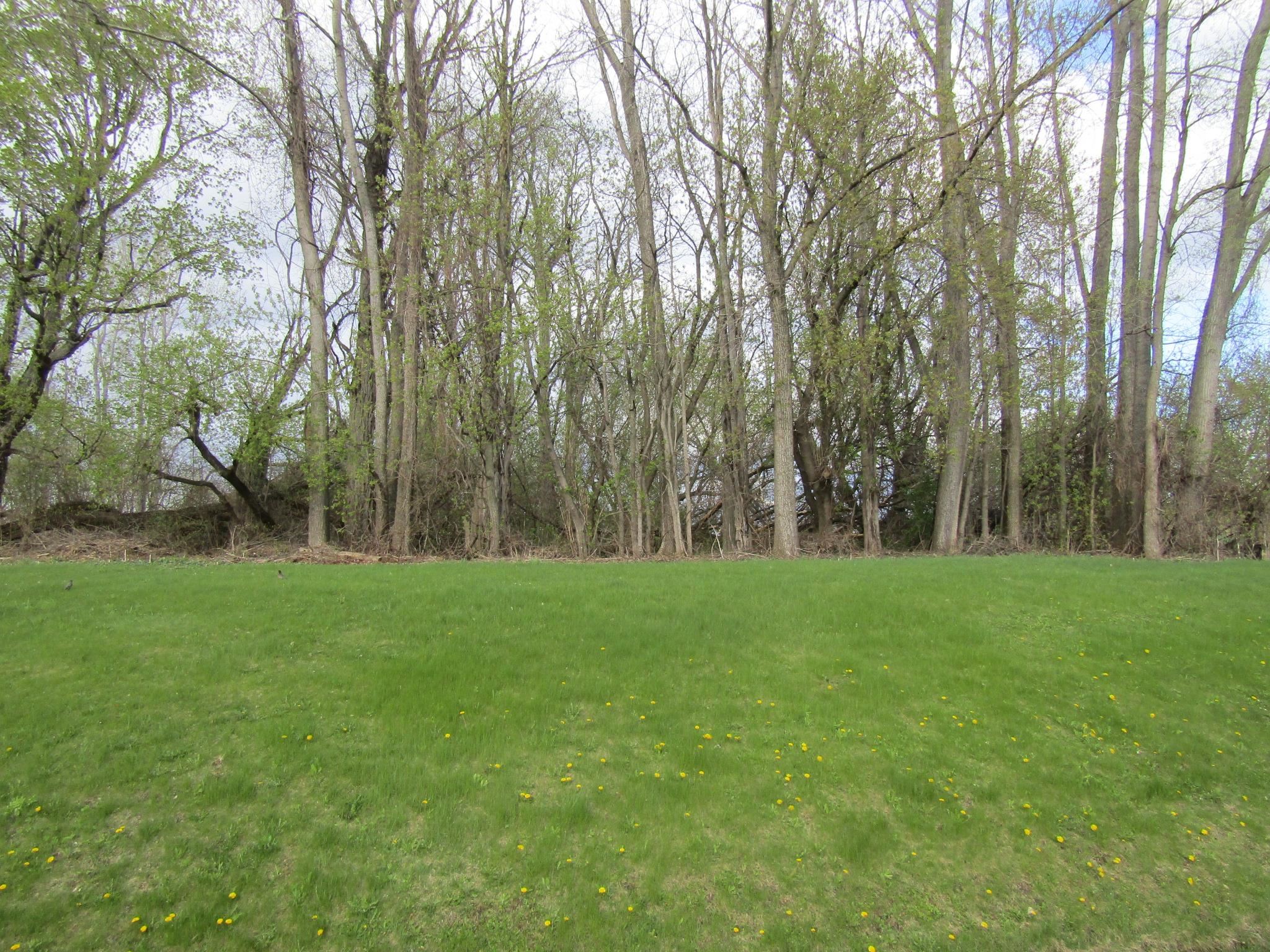168 Border Road Property Photo 3