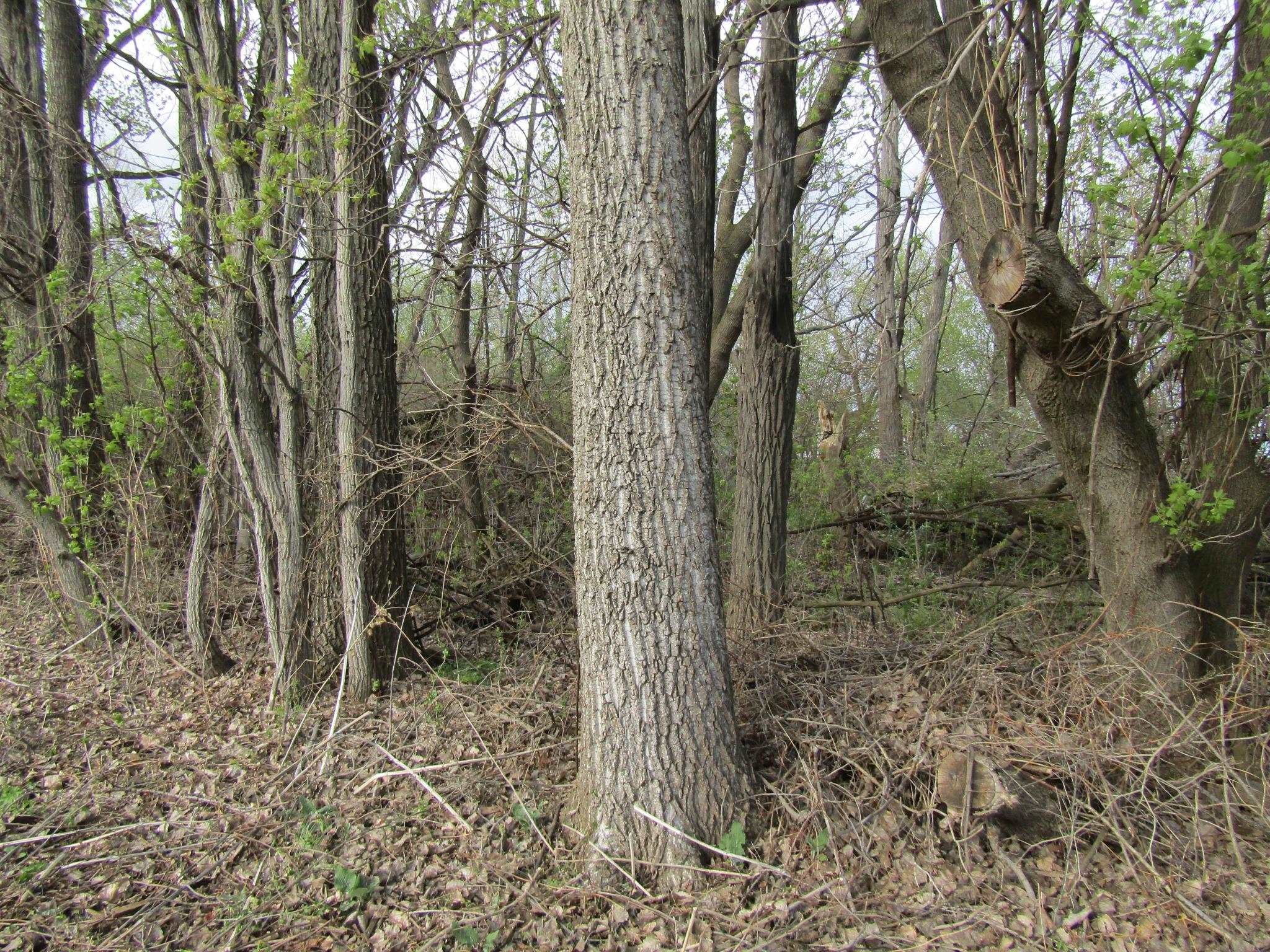 168 Border Road Property Photo 4