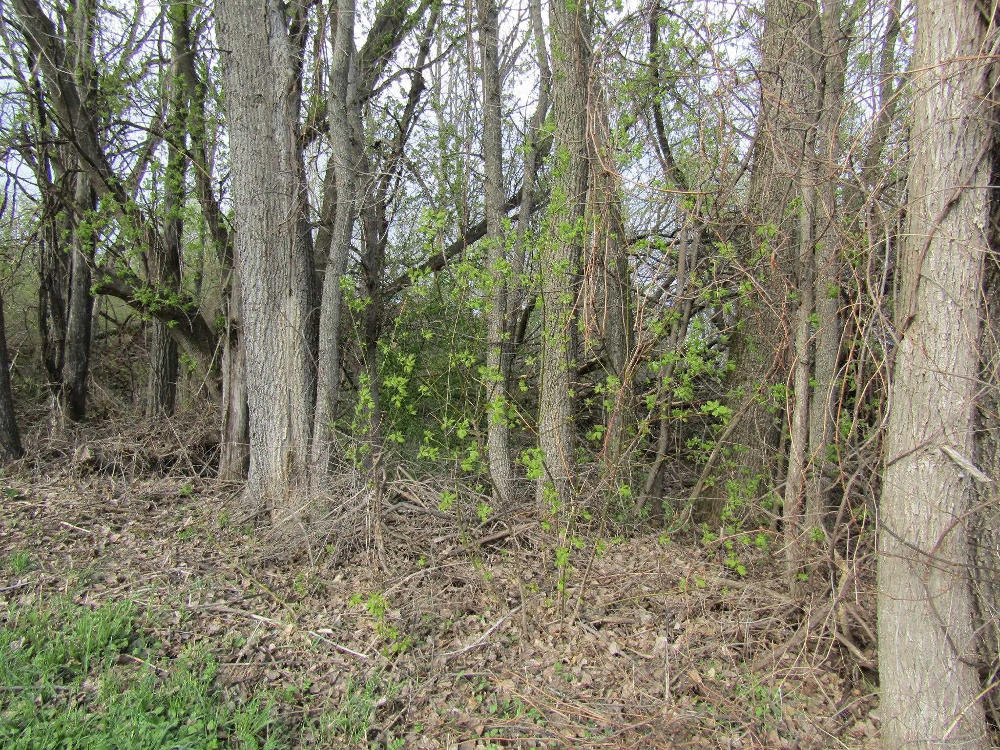 168 Border Road Property Photo 5