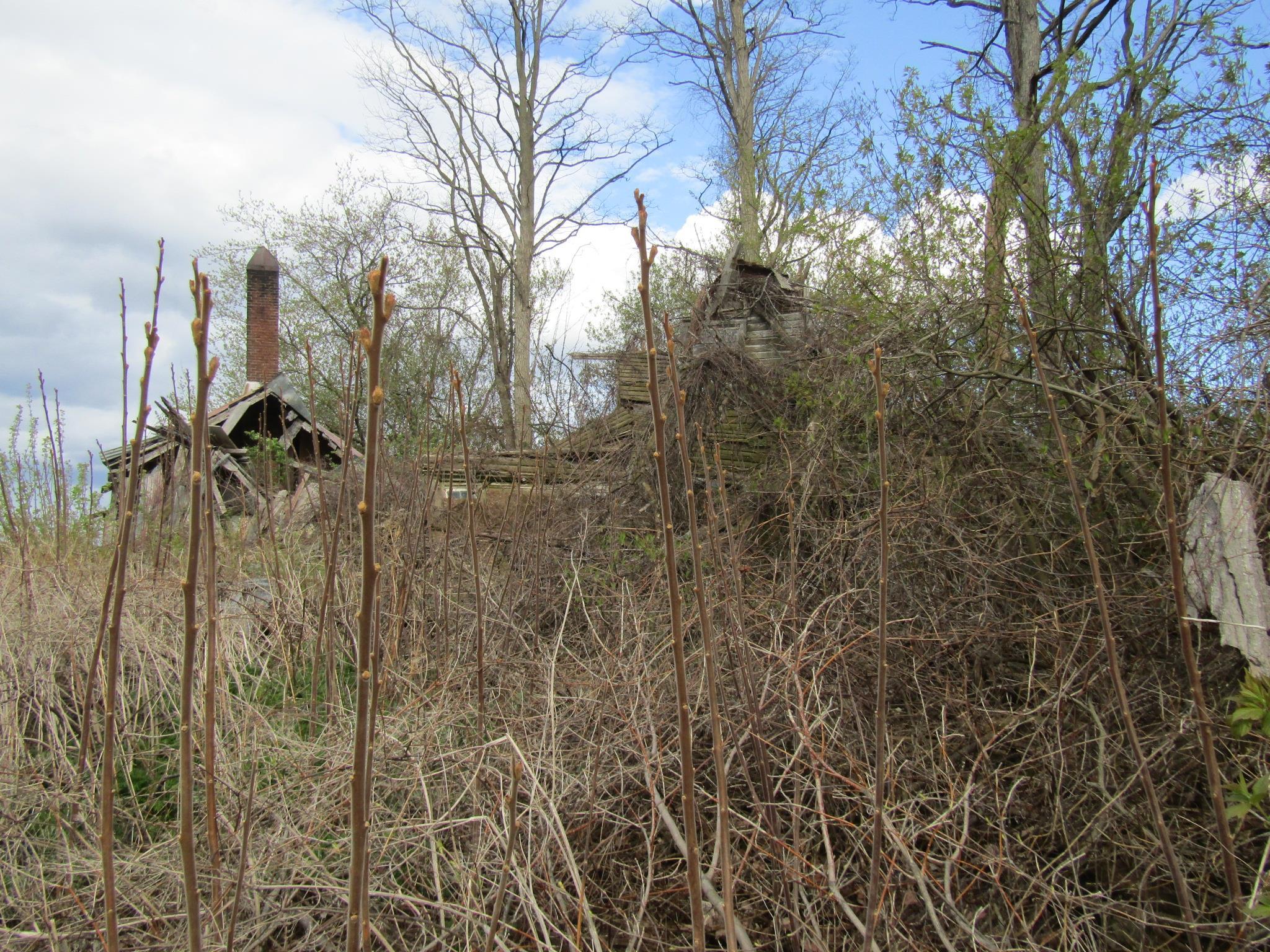 168 Border Road Property Photo 8