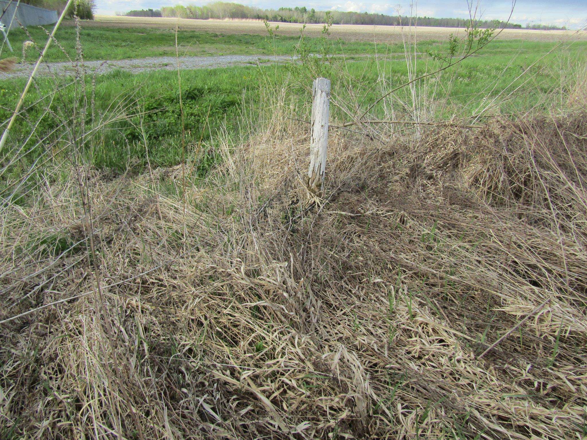 168 Border Road Property Photo 11
