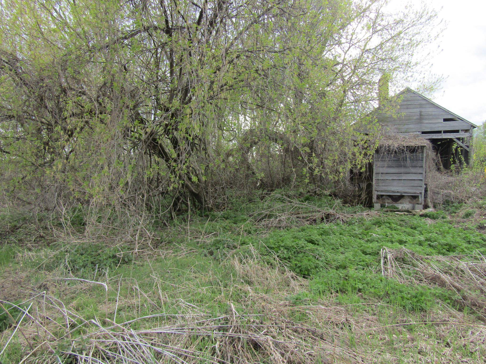 168 Border Road Property Photo 12