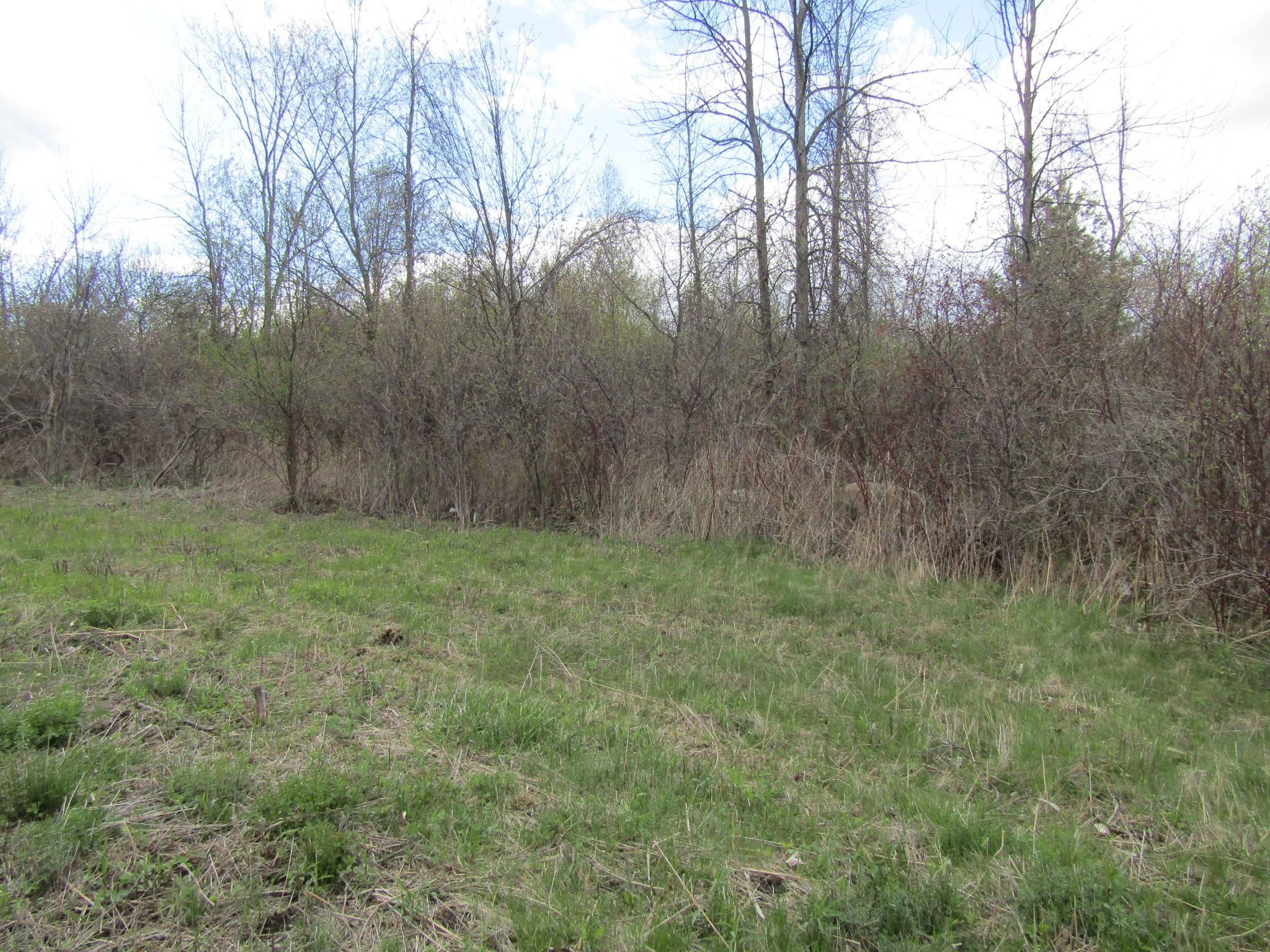 89 South Main Street Property Photo 9