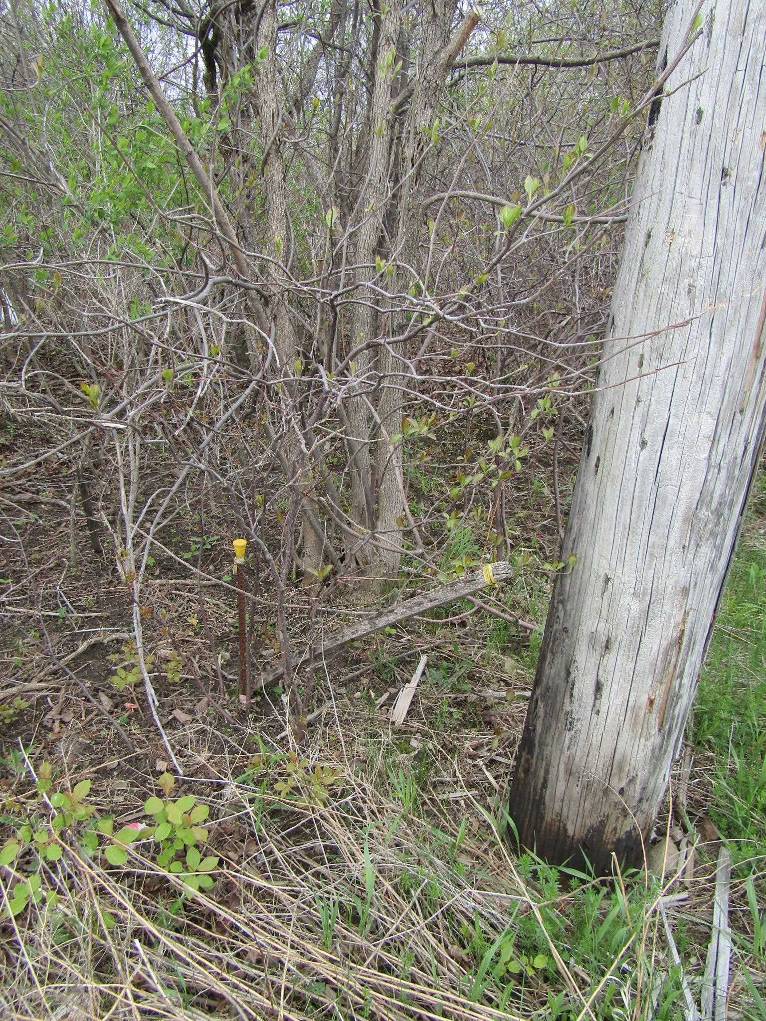 89 South Main Street Property Photo 13