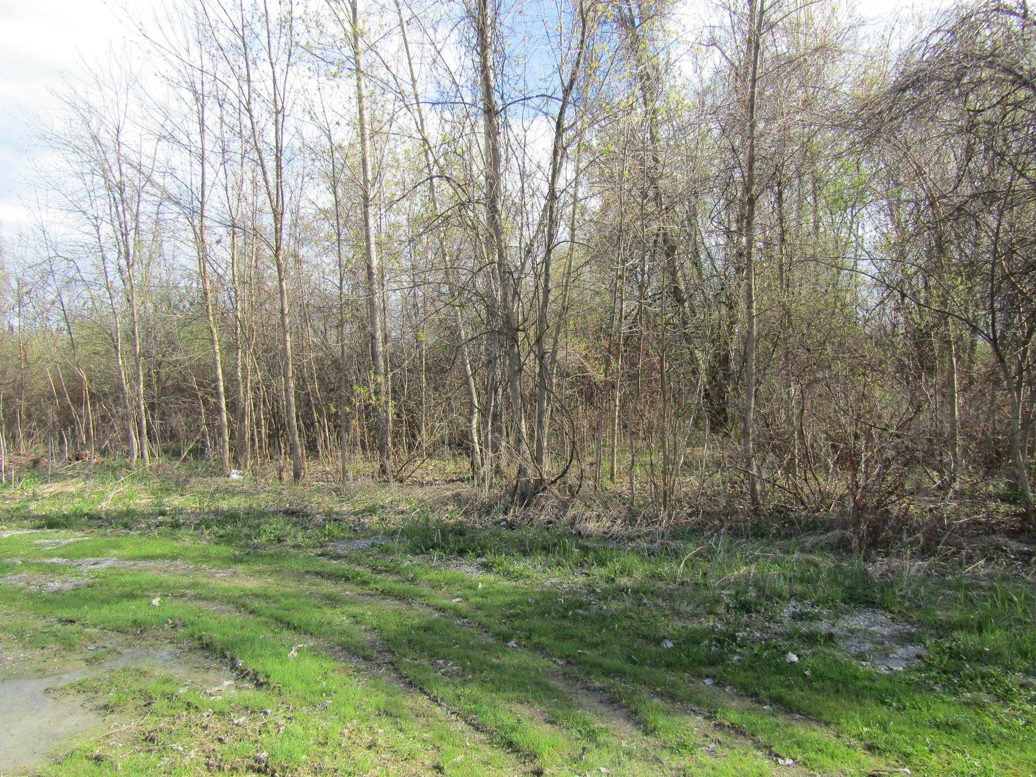 89 South Main Street Property Photo 18