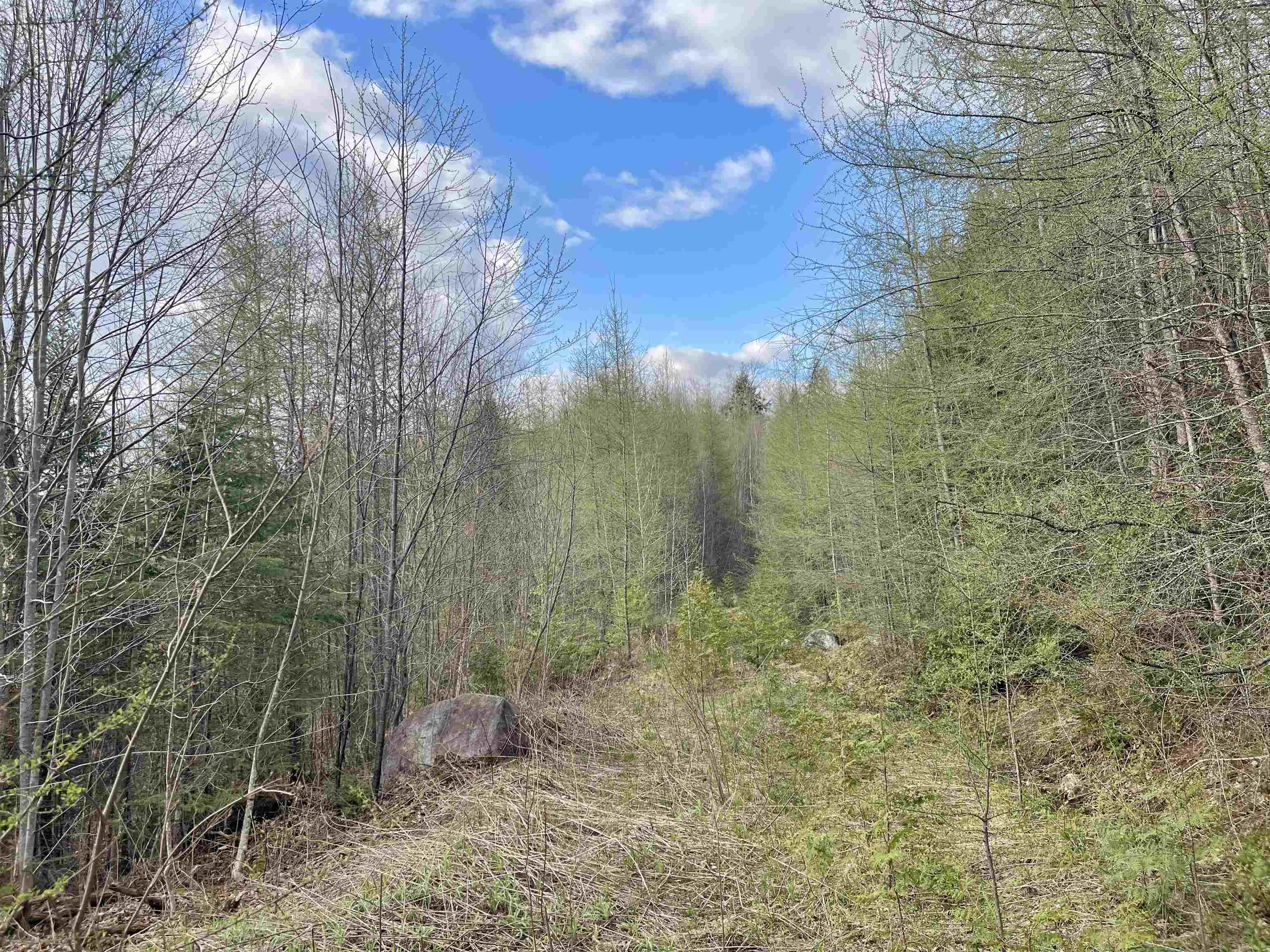 00 Lost Nation Road Property Photo 5