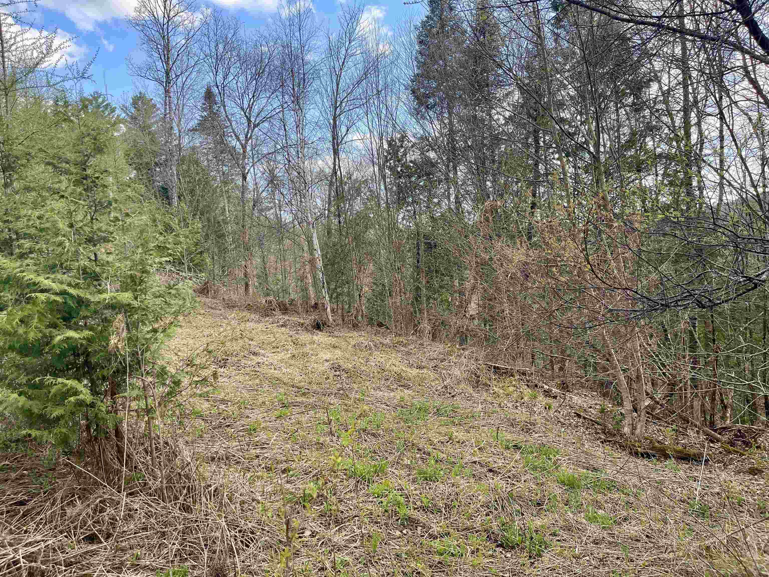 00 Lost Nation Road Property Photo 6