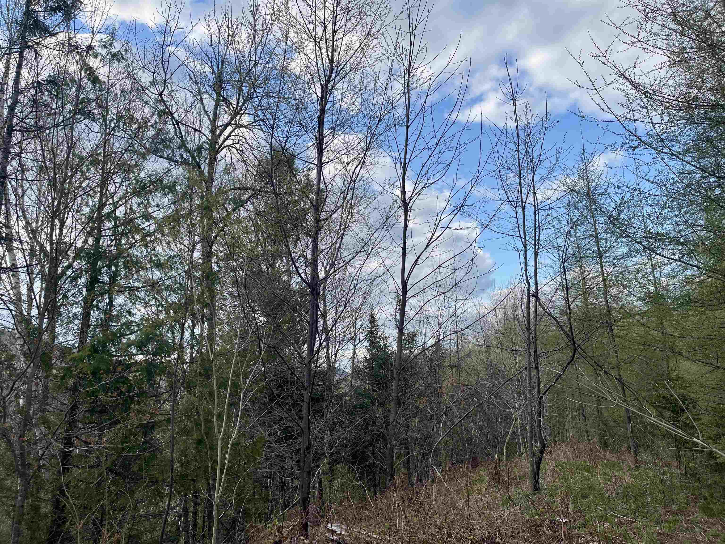 00 Lost Nation Road Property Photo 7