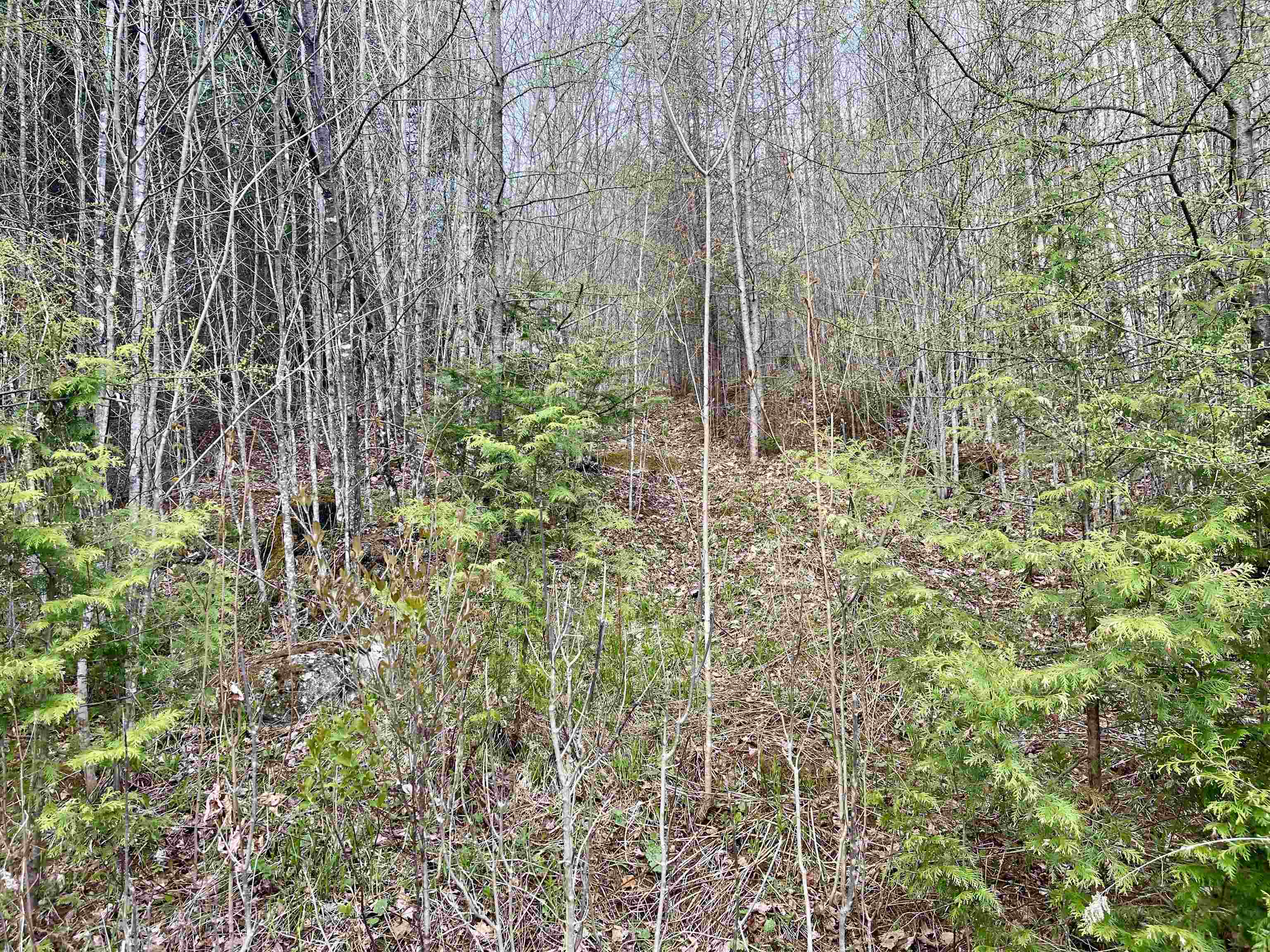 00 Lost Nation Road Property Photo 8