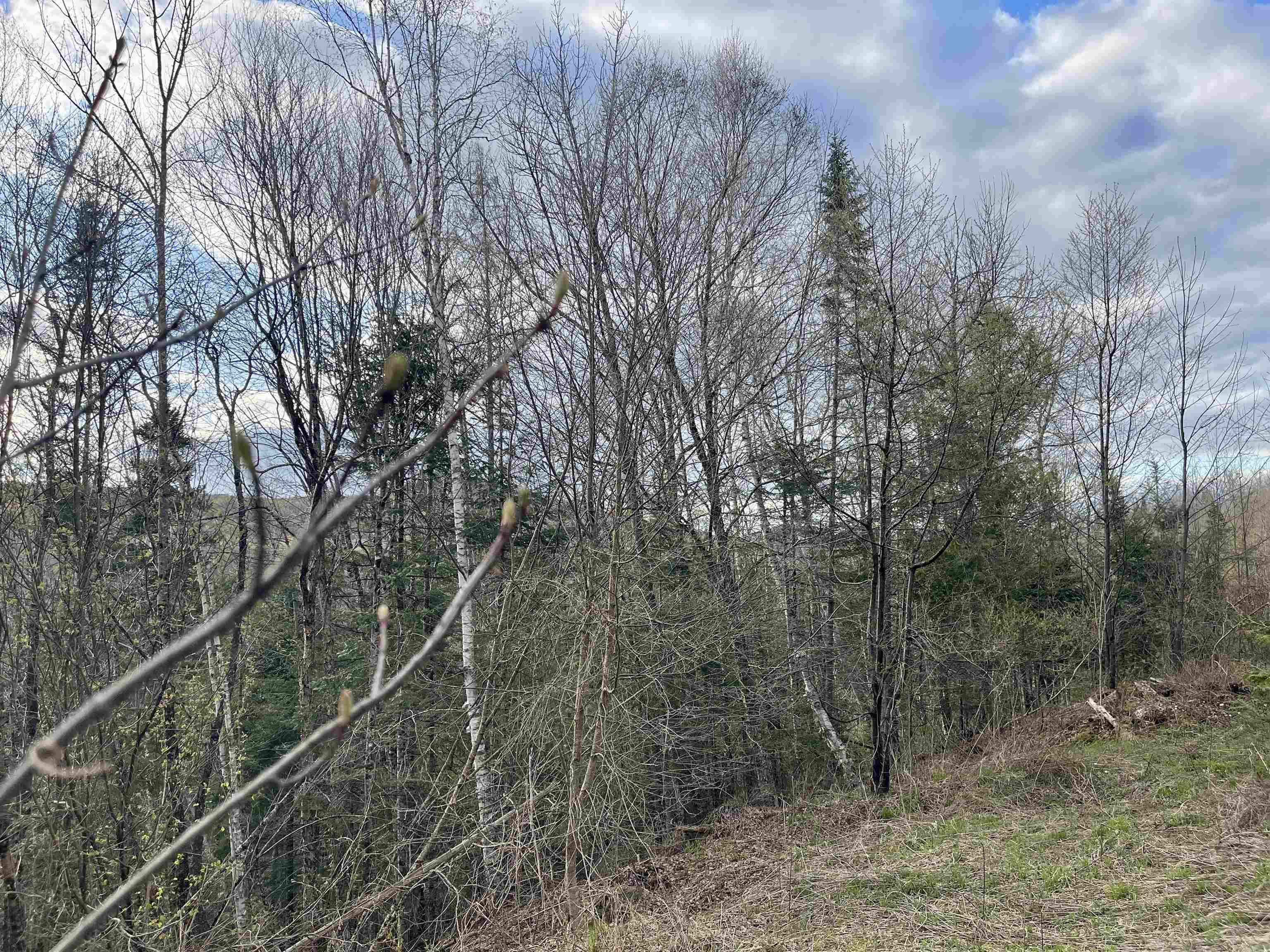 00 Lost Nation Road Property Photo 11