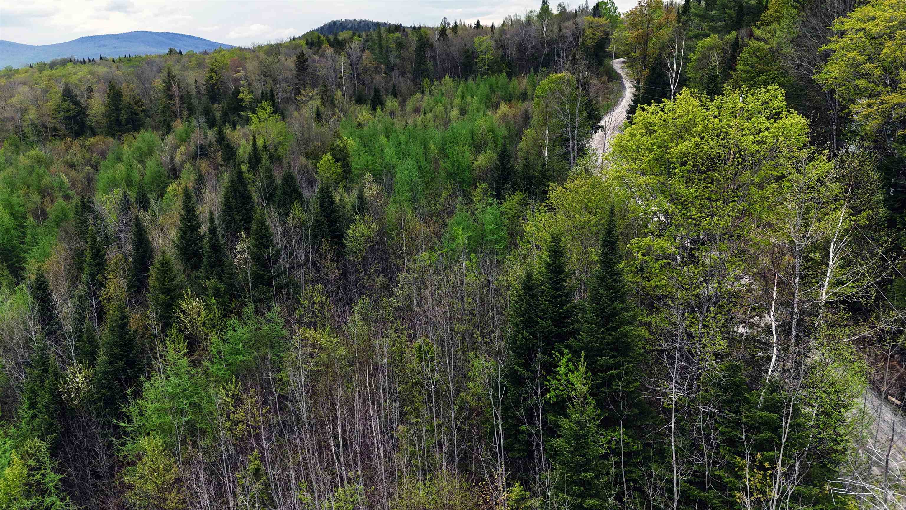00 Lost Nation Road Property Photo 18