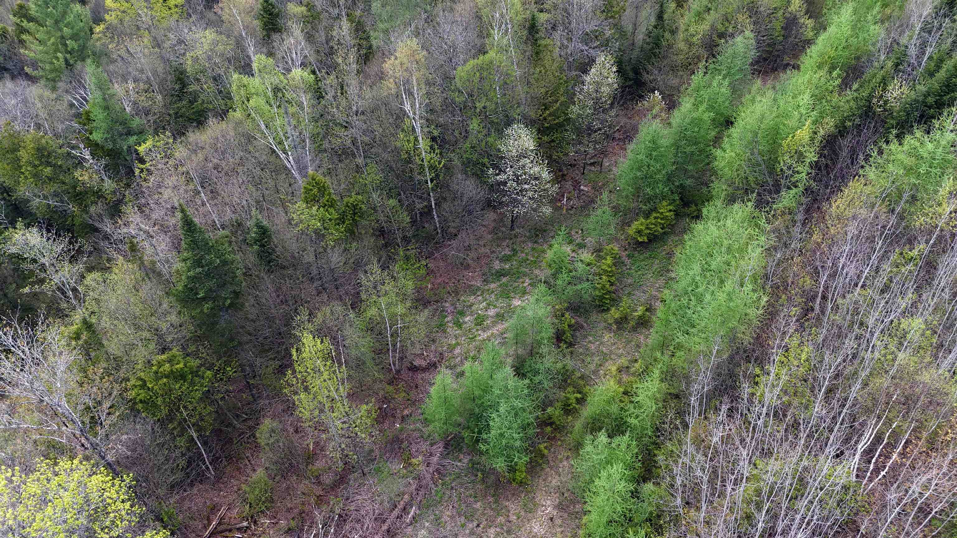 00 Lost Nation Road Property Photo 23