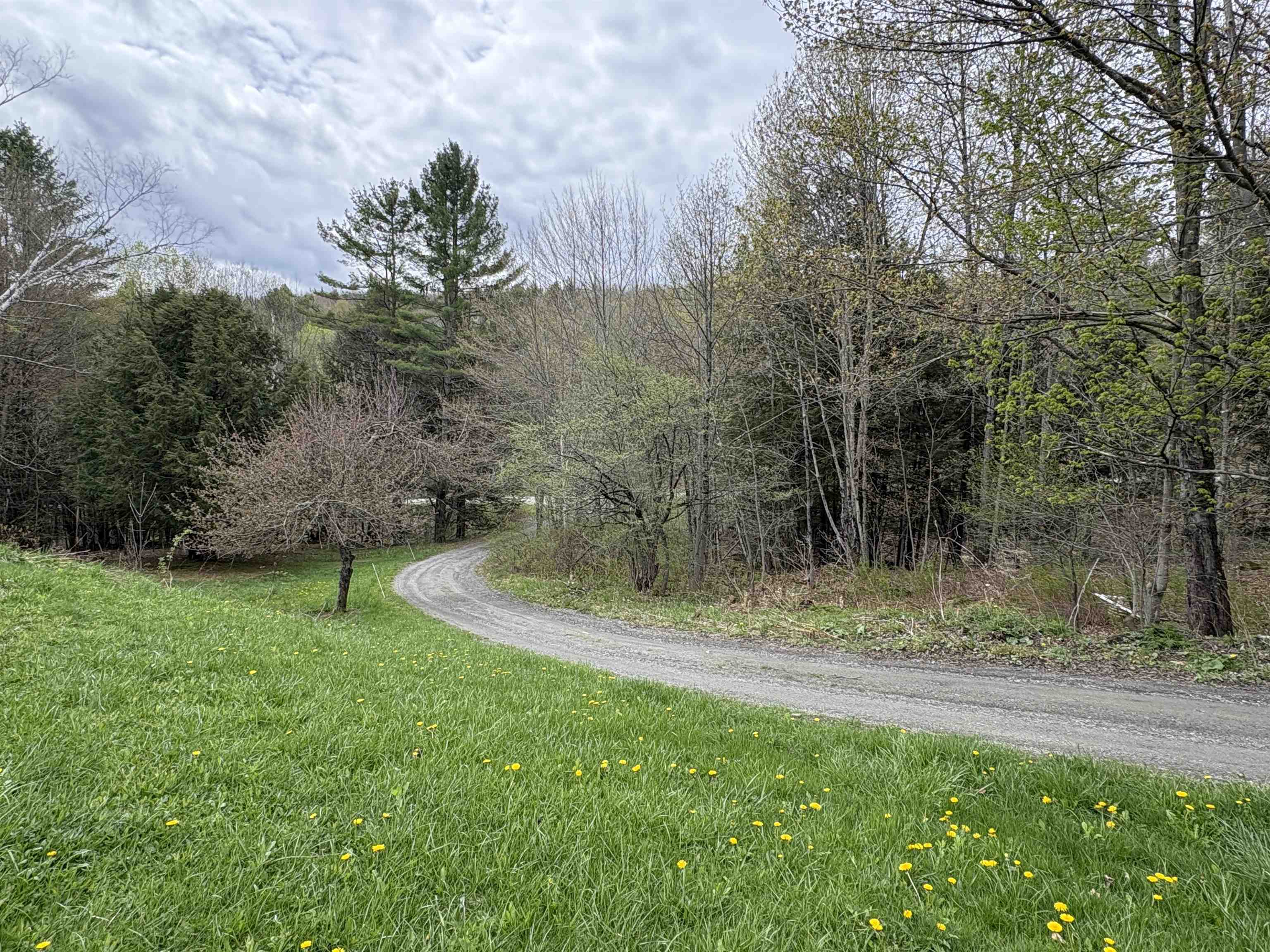 1250 Braintree Hill Road Property Photo 45