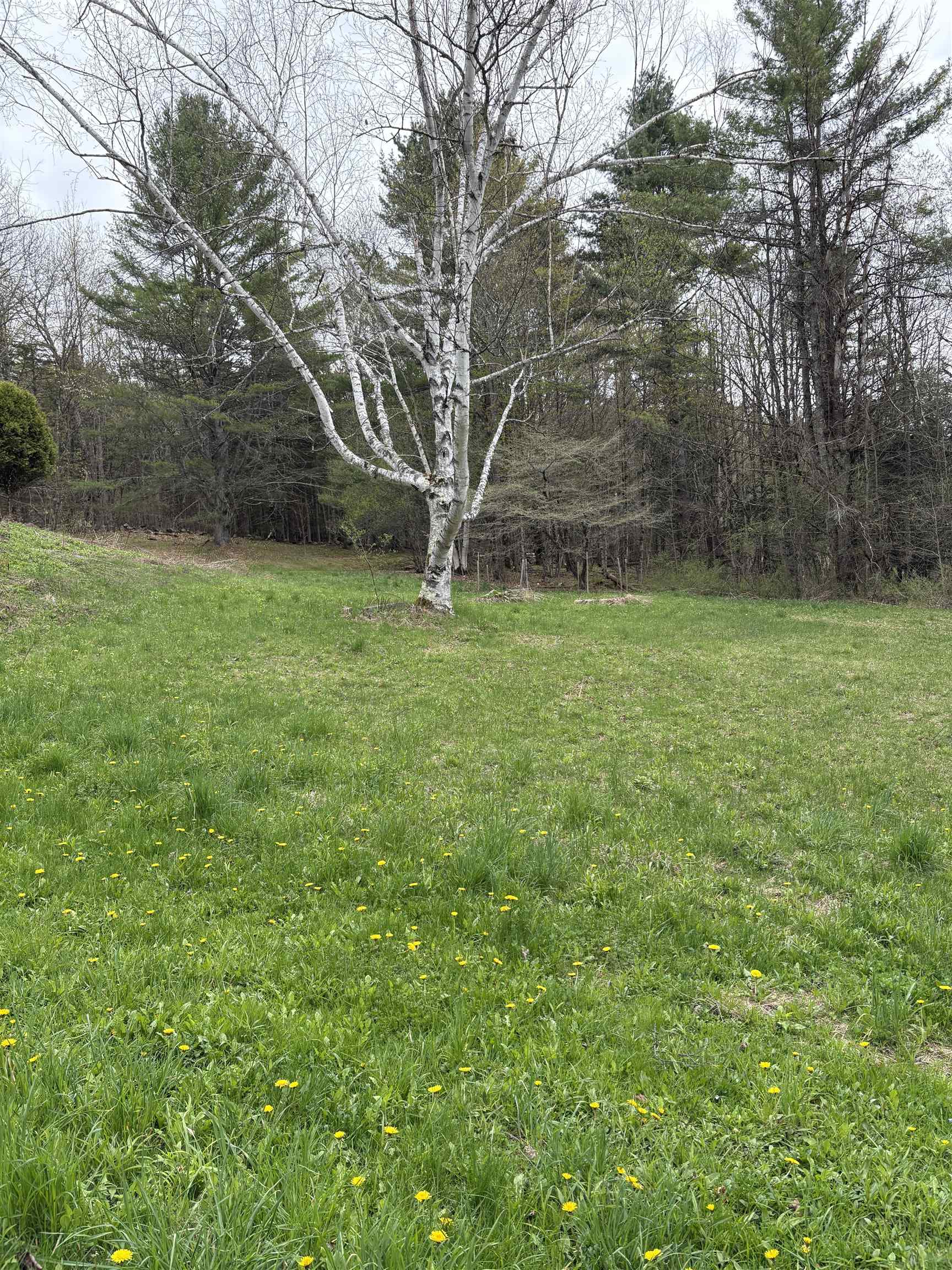 1250 Braintree Hill Road Property Photo 46