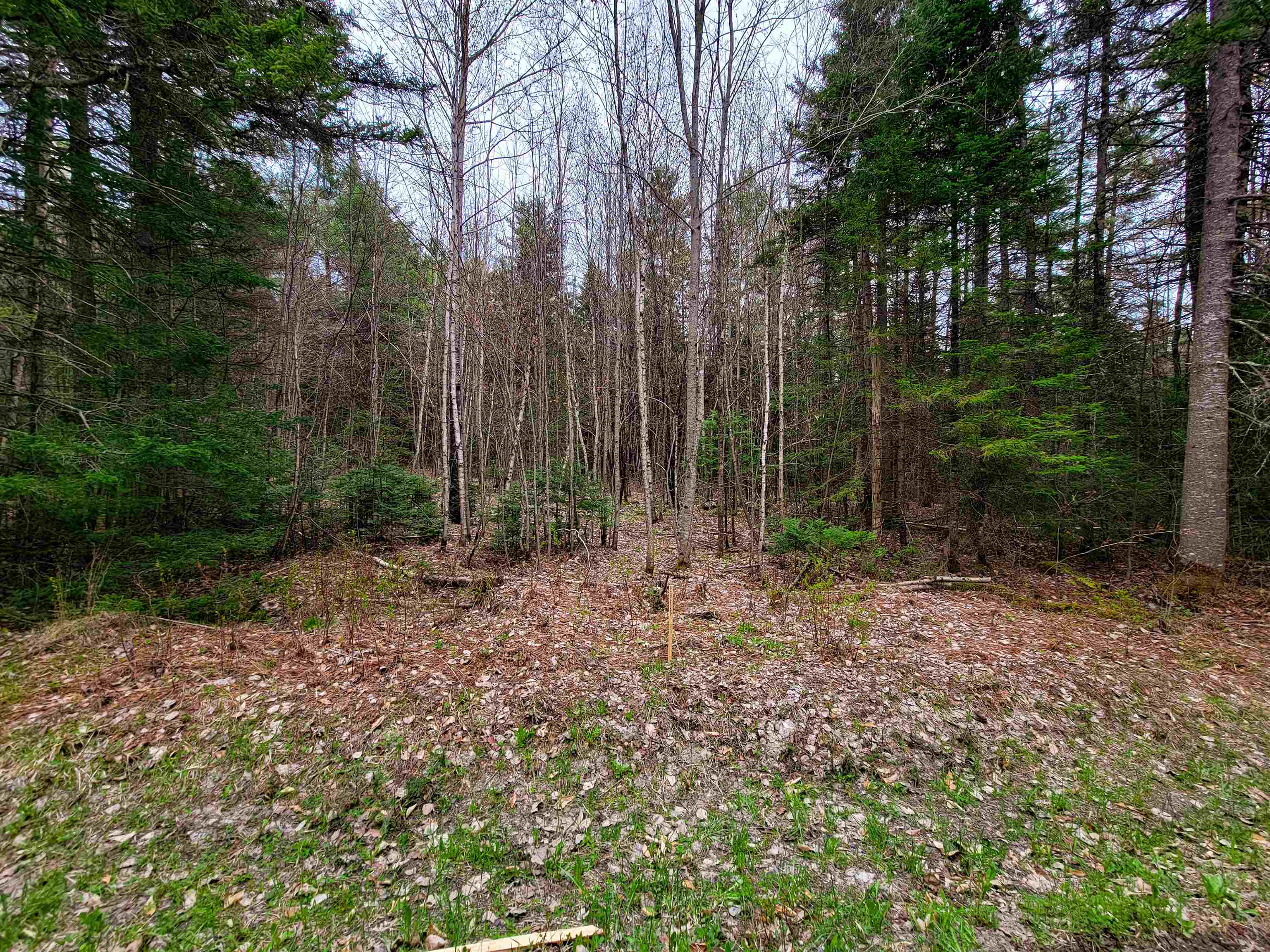 280 Guyette Road Property Photo 9