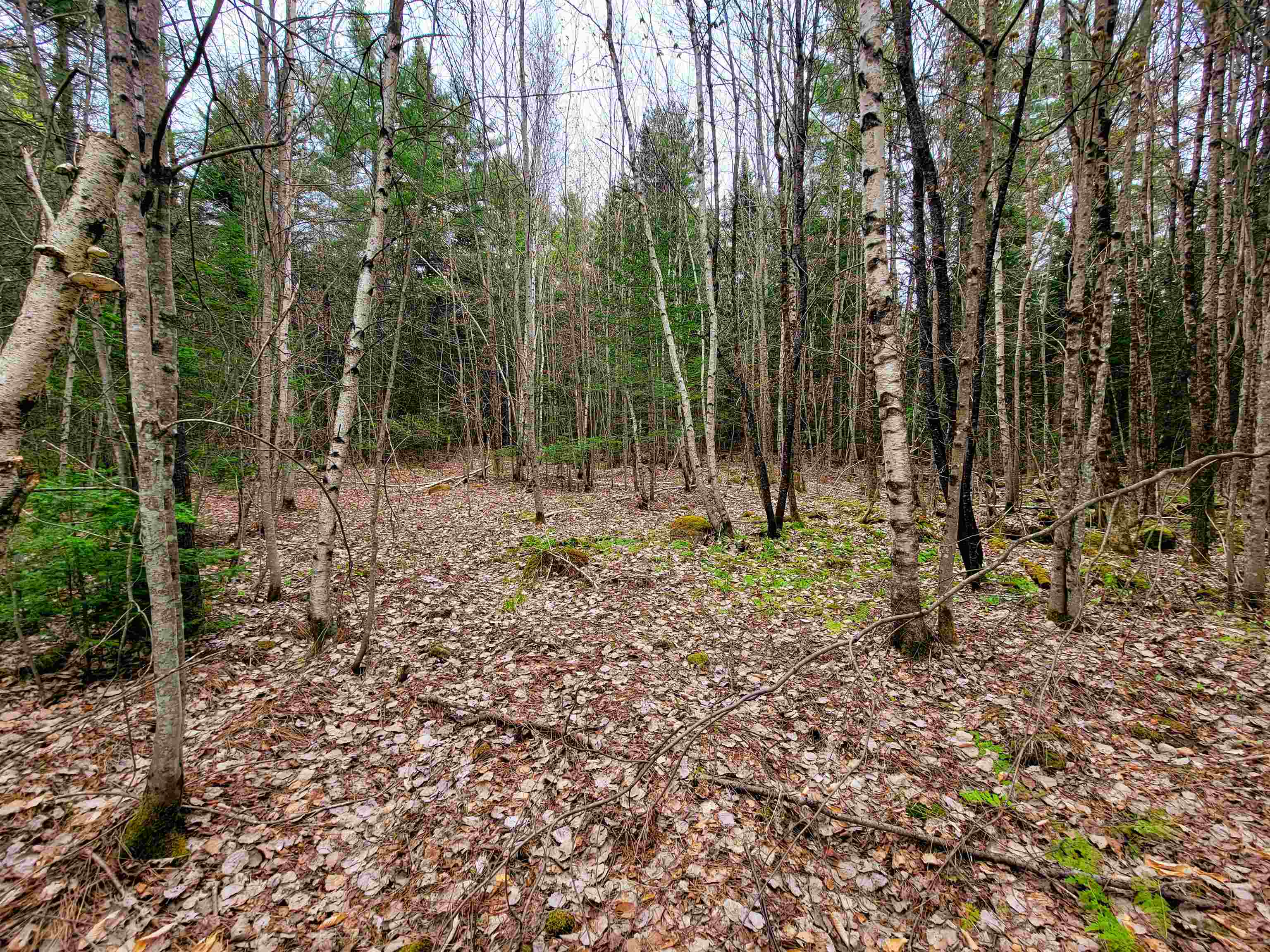 280 Guyette Road Property Photo 11