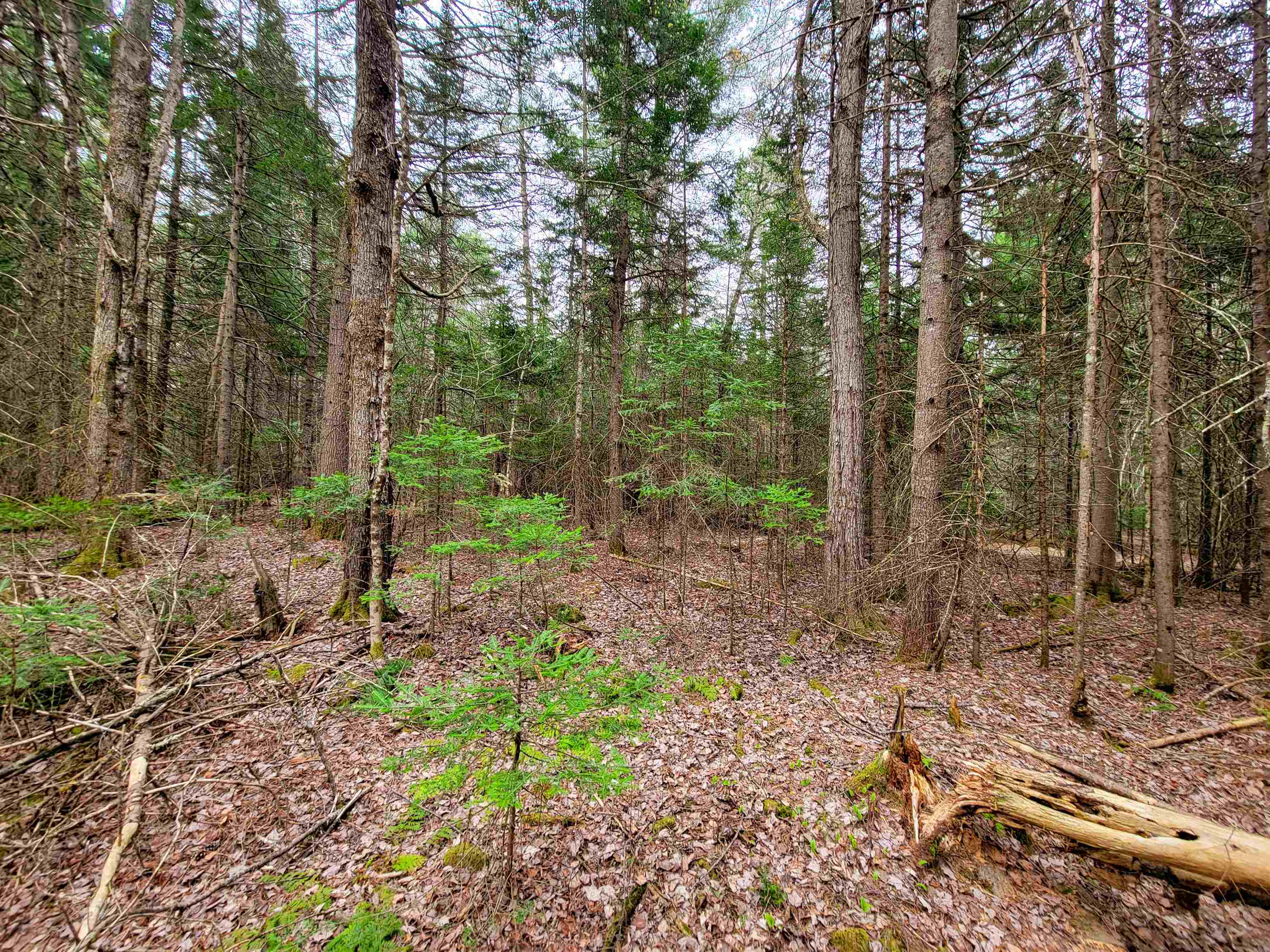 280 Guyette Road Property Photo 14