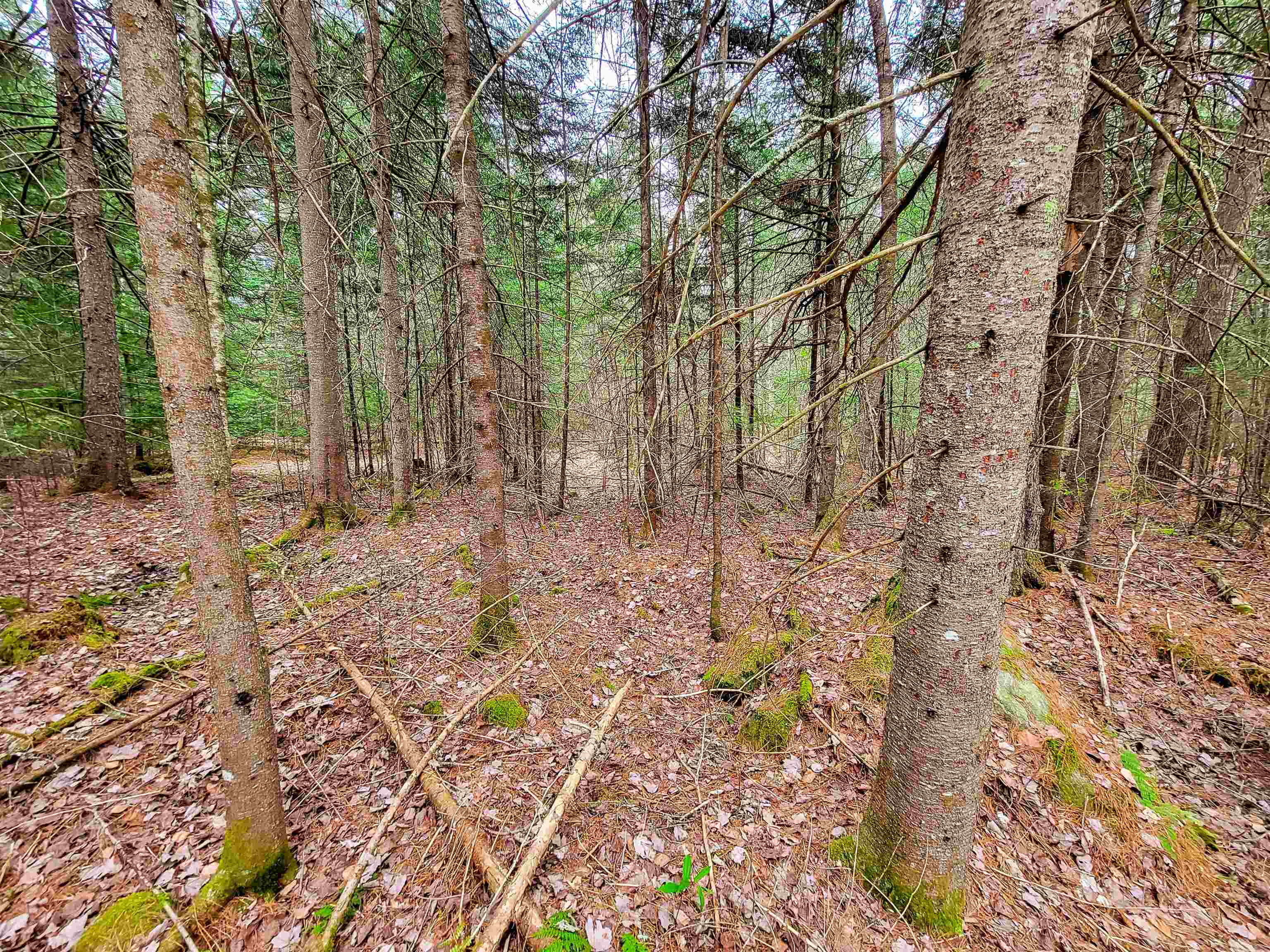 280 Guyette Road Property Photo 15