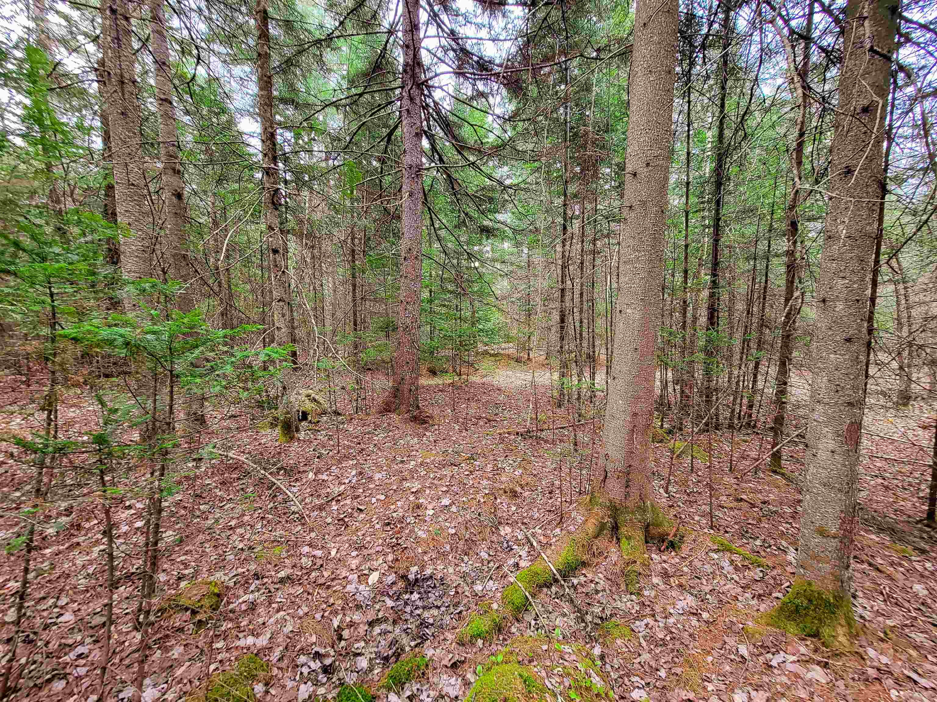 280 Guyette Road Property Photo 16