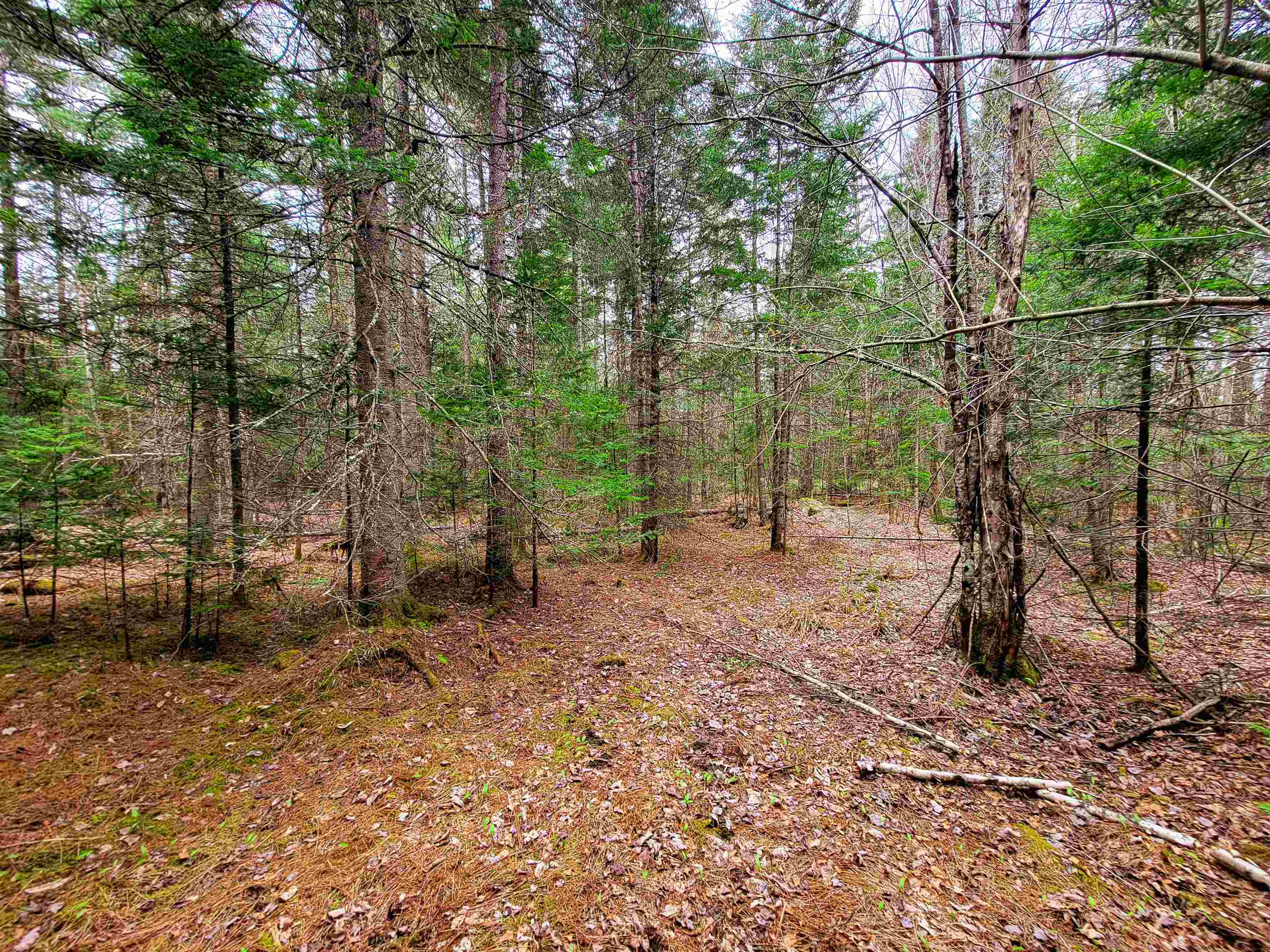 280 Guyette Road Property Photo 17