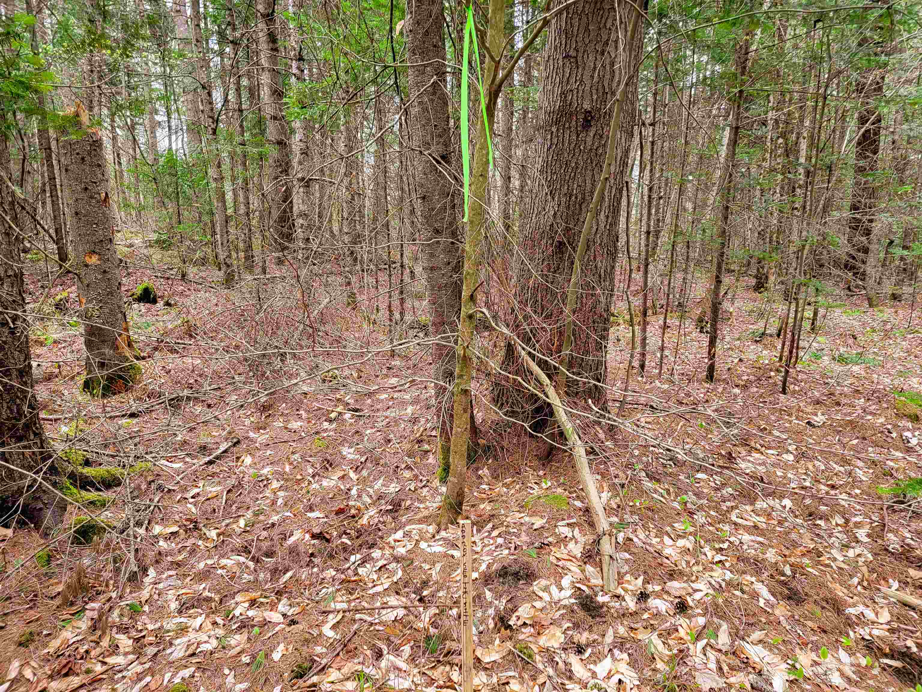 280 Guyette Road Property Photo 20