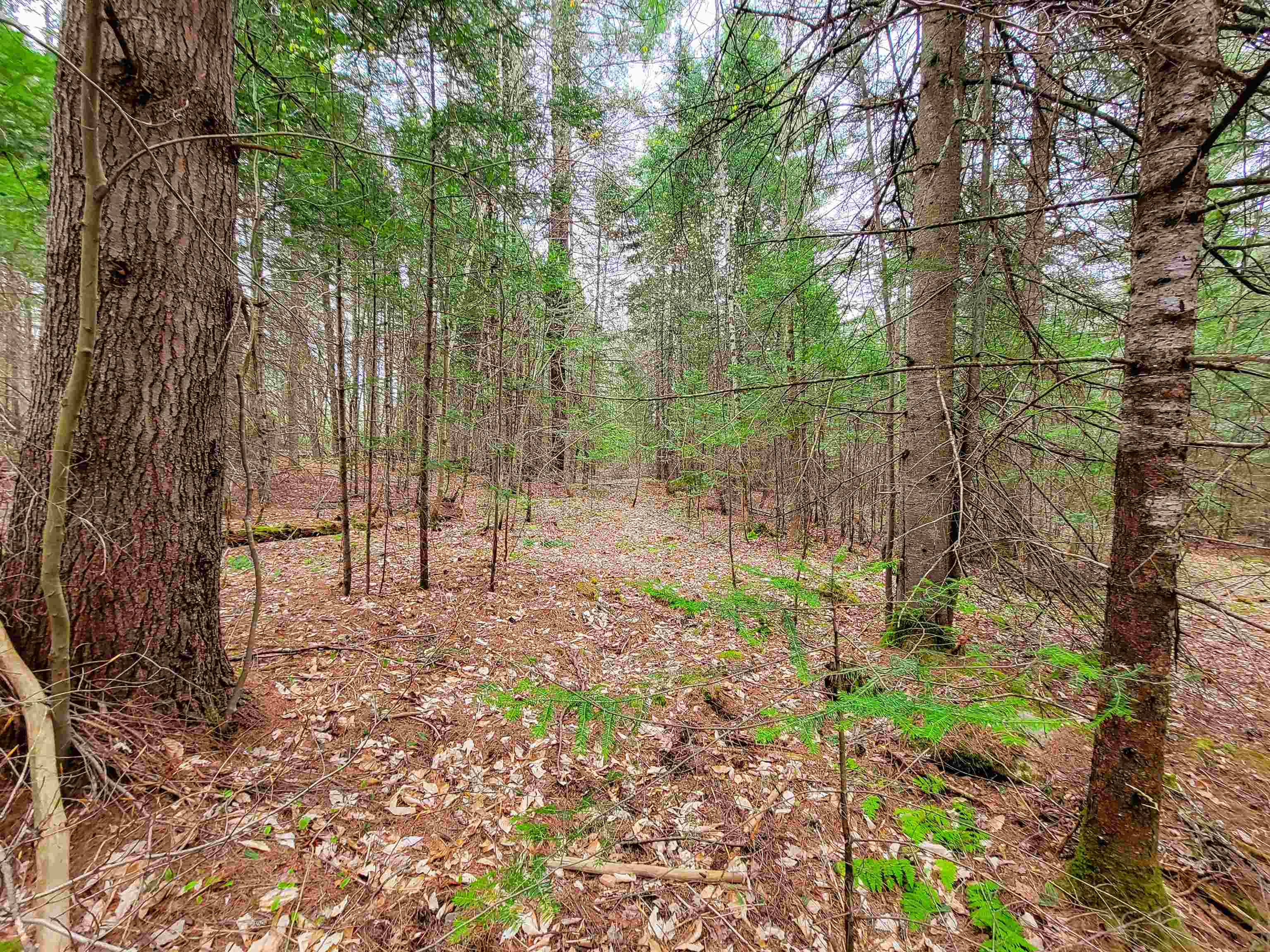 280 Guyette Road Property Photo 22