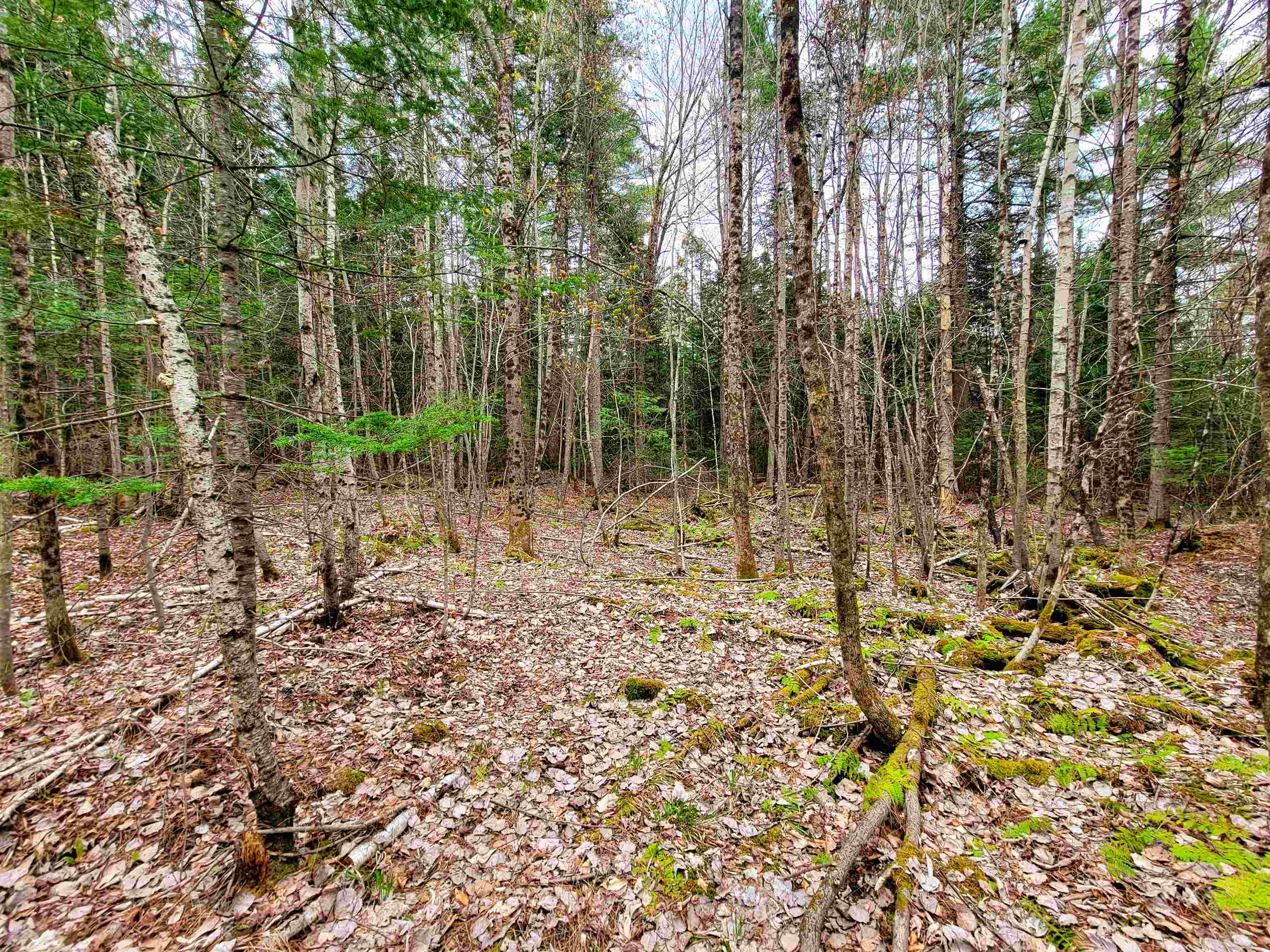 280 Guyette Road Property Photo 25