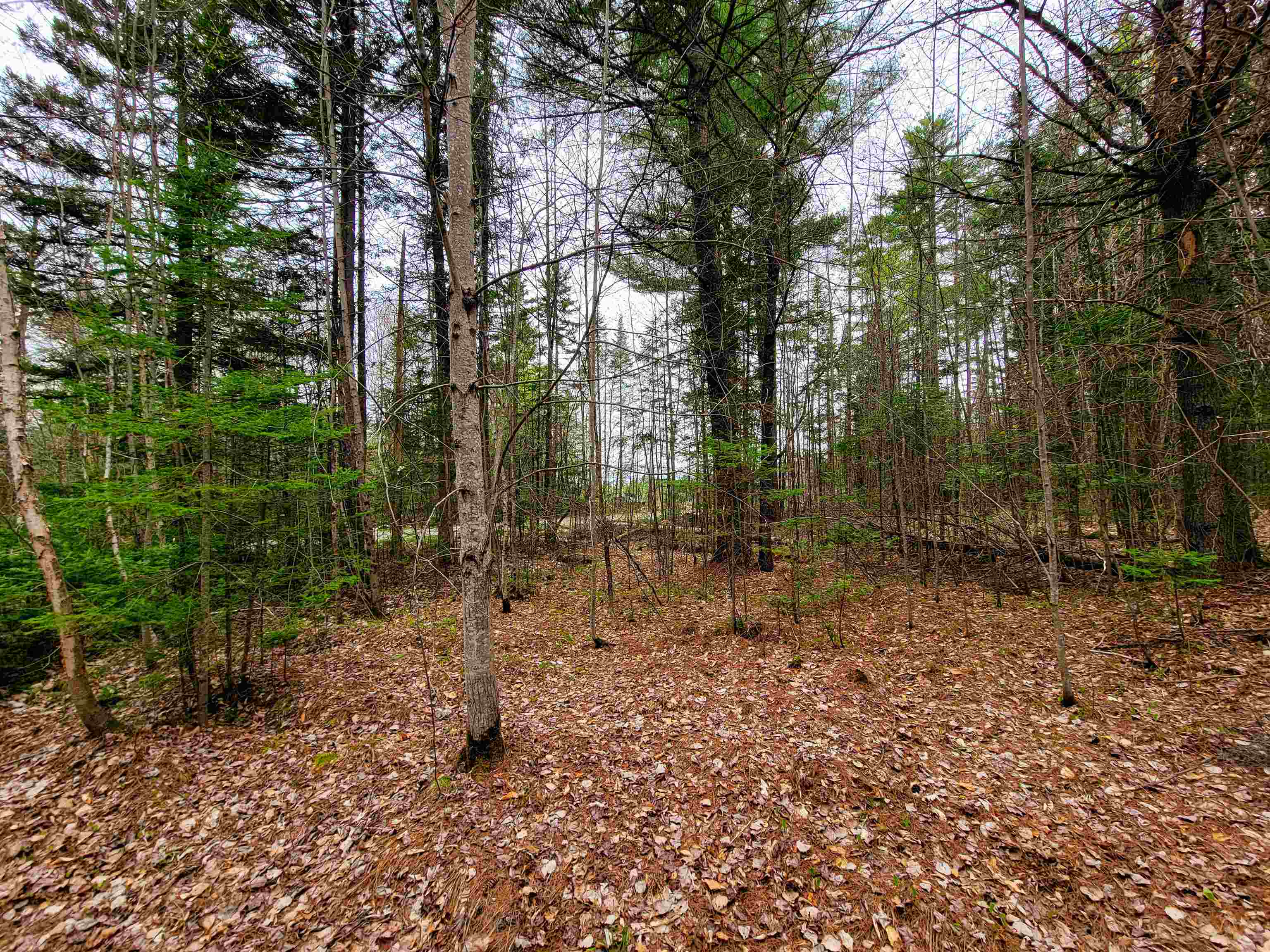 280 Guyette Road Property Photo 26