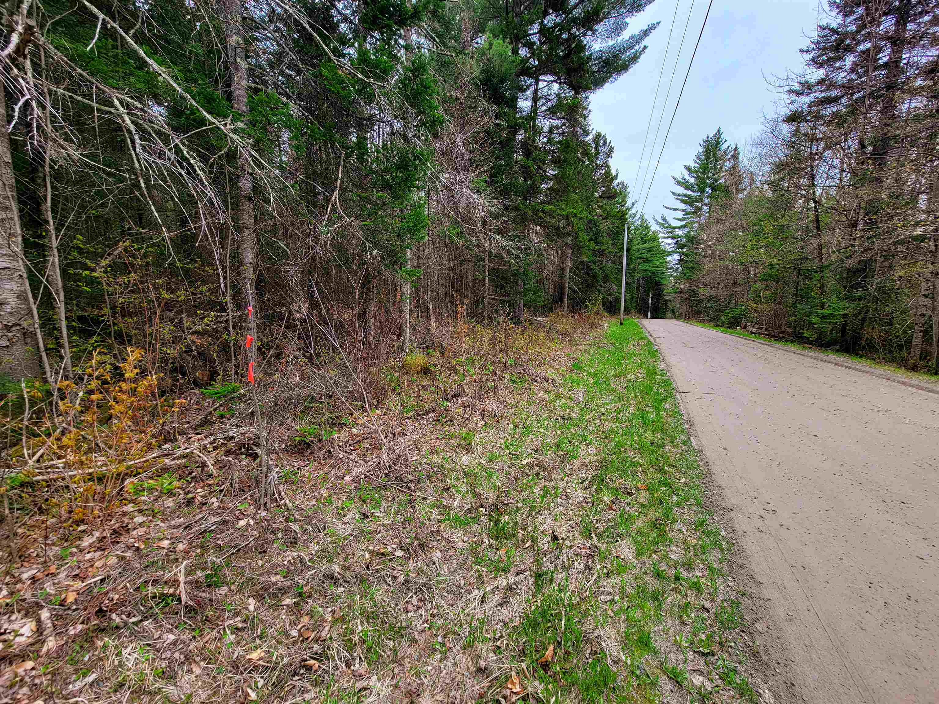 280 Guyette Road Property Photo 29
