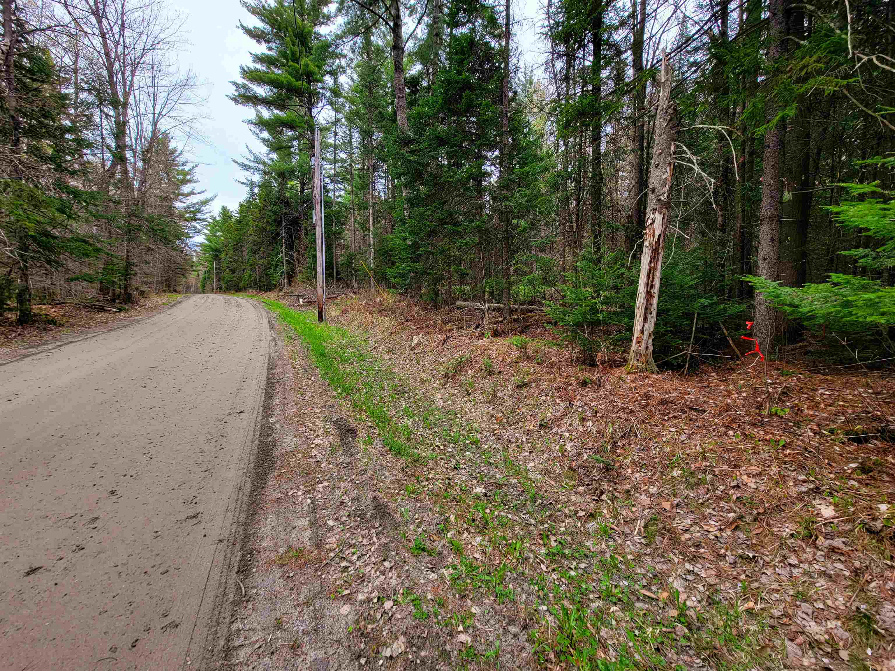 280 Guyette Road Property Photo 31