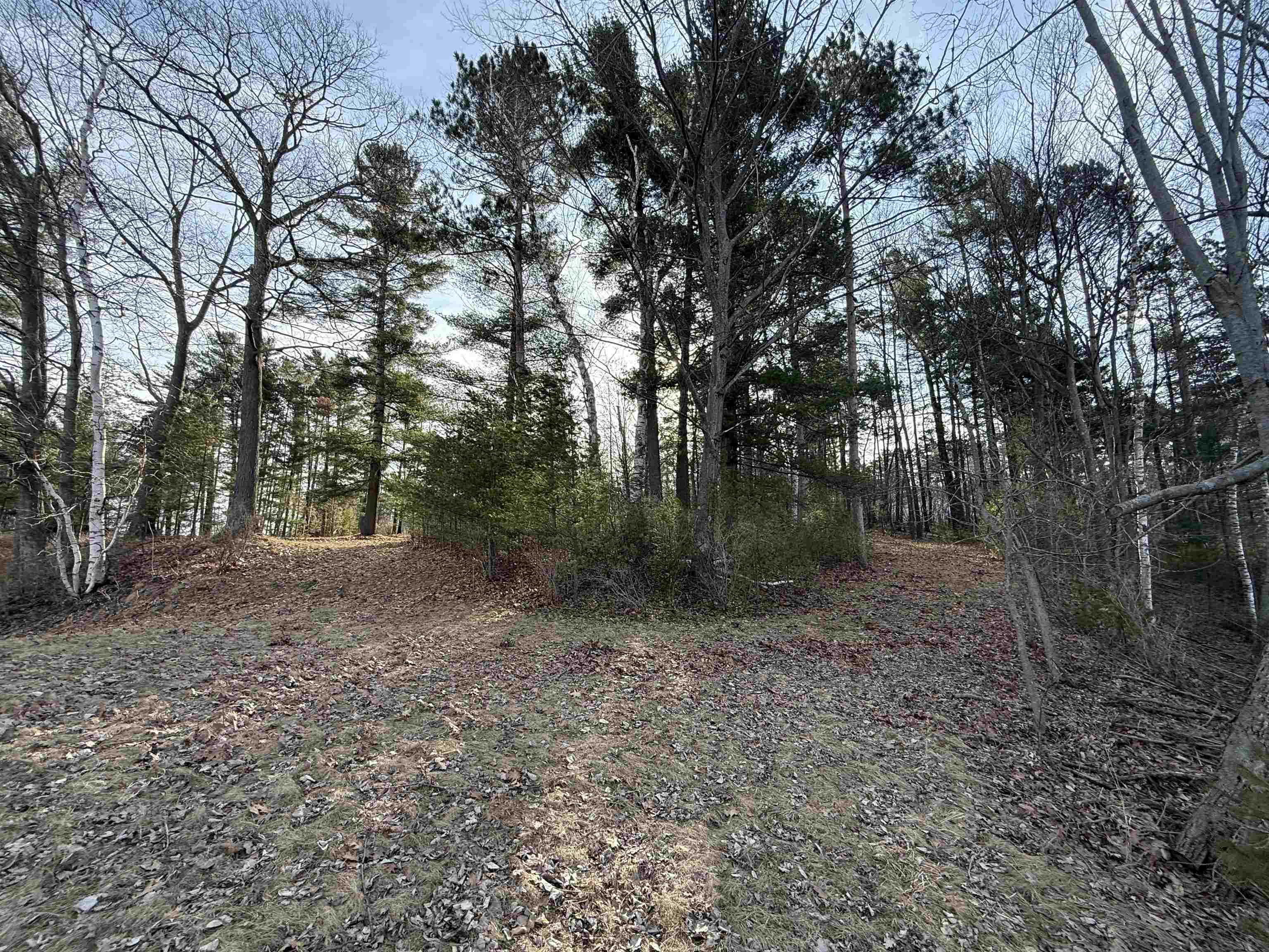 1413 Bluff Road Property Photo 25