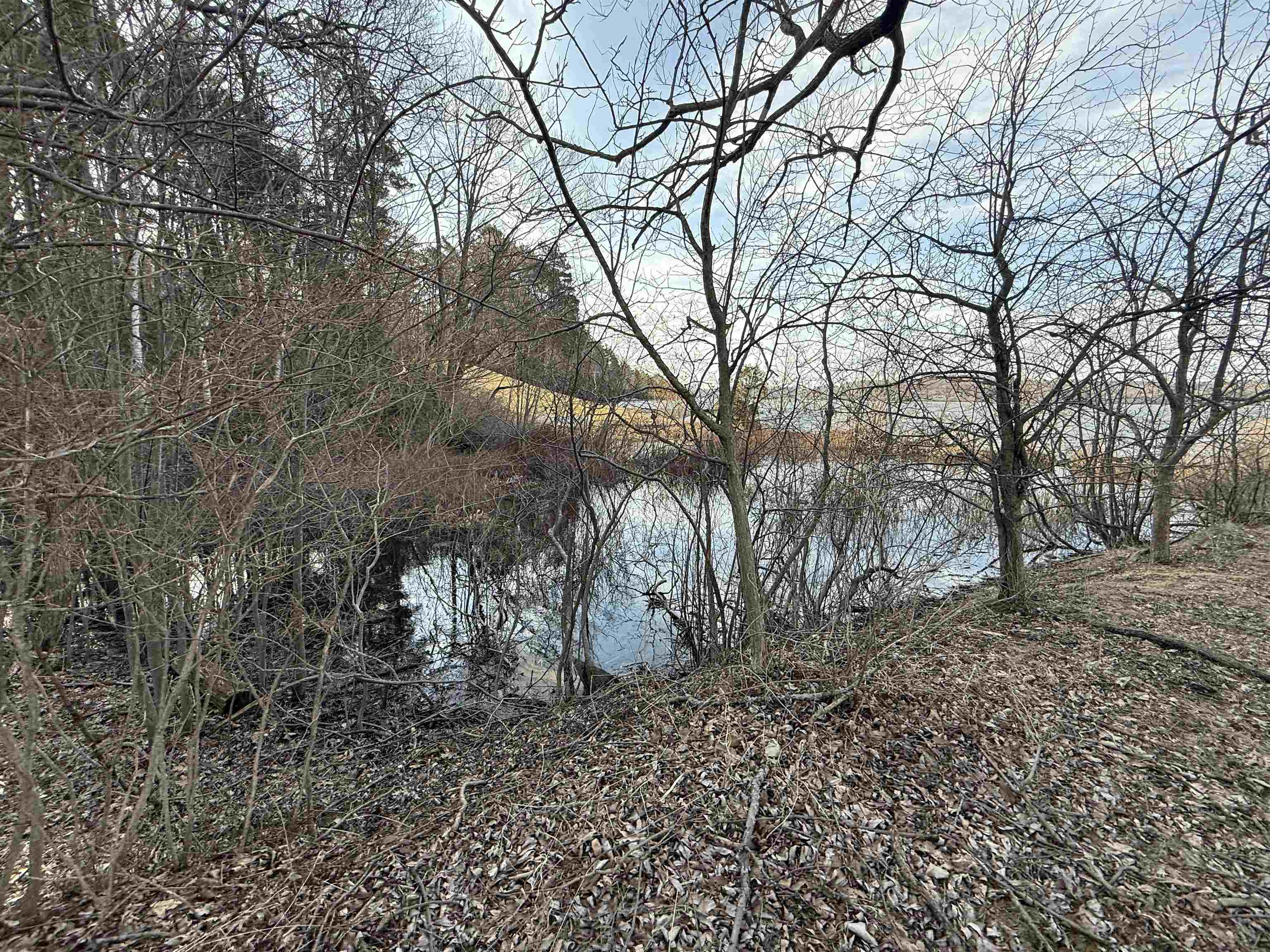 1413 Bluff Road Property Photo 27