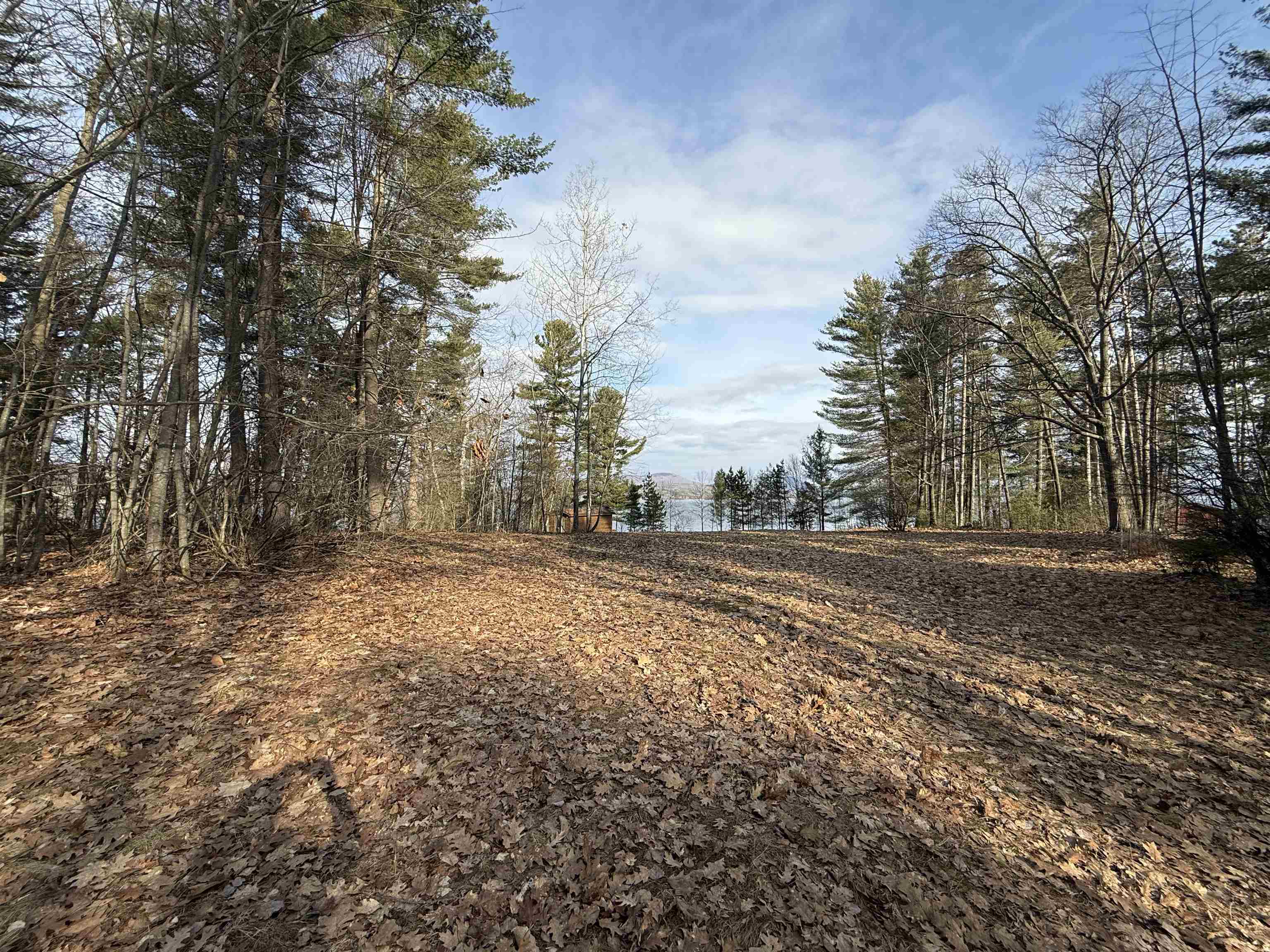 1413 Bluff Road Property Photo 29