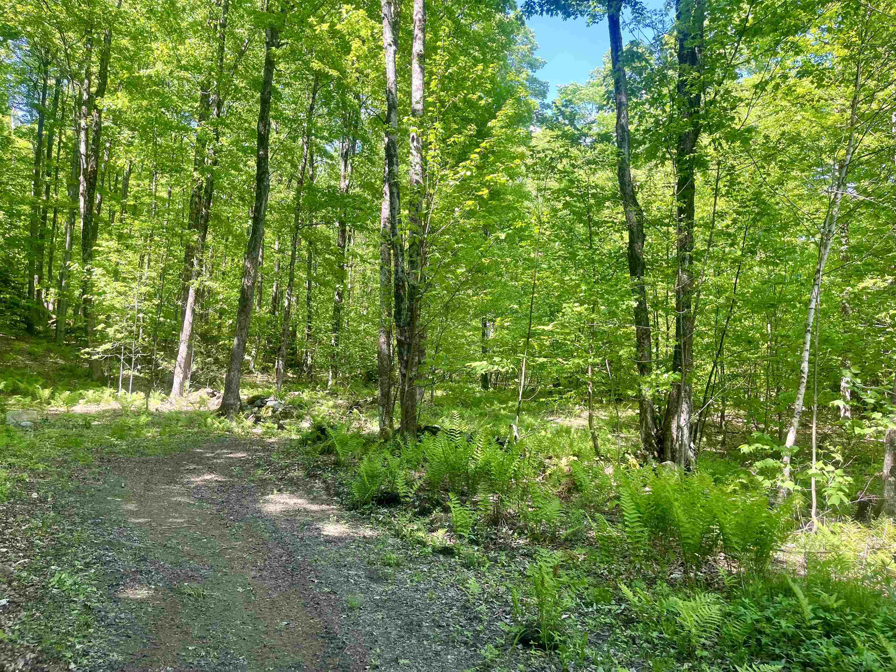 220 Middle Road Property Photo 1