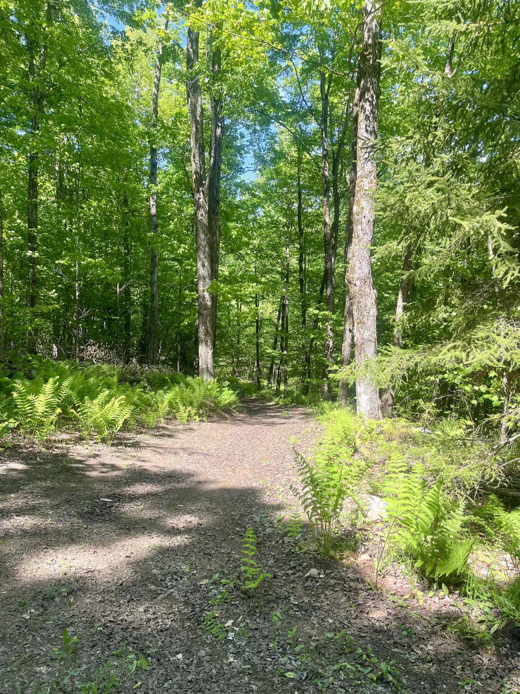220 Middle Road Property Photo 2