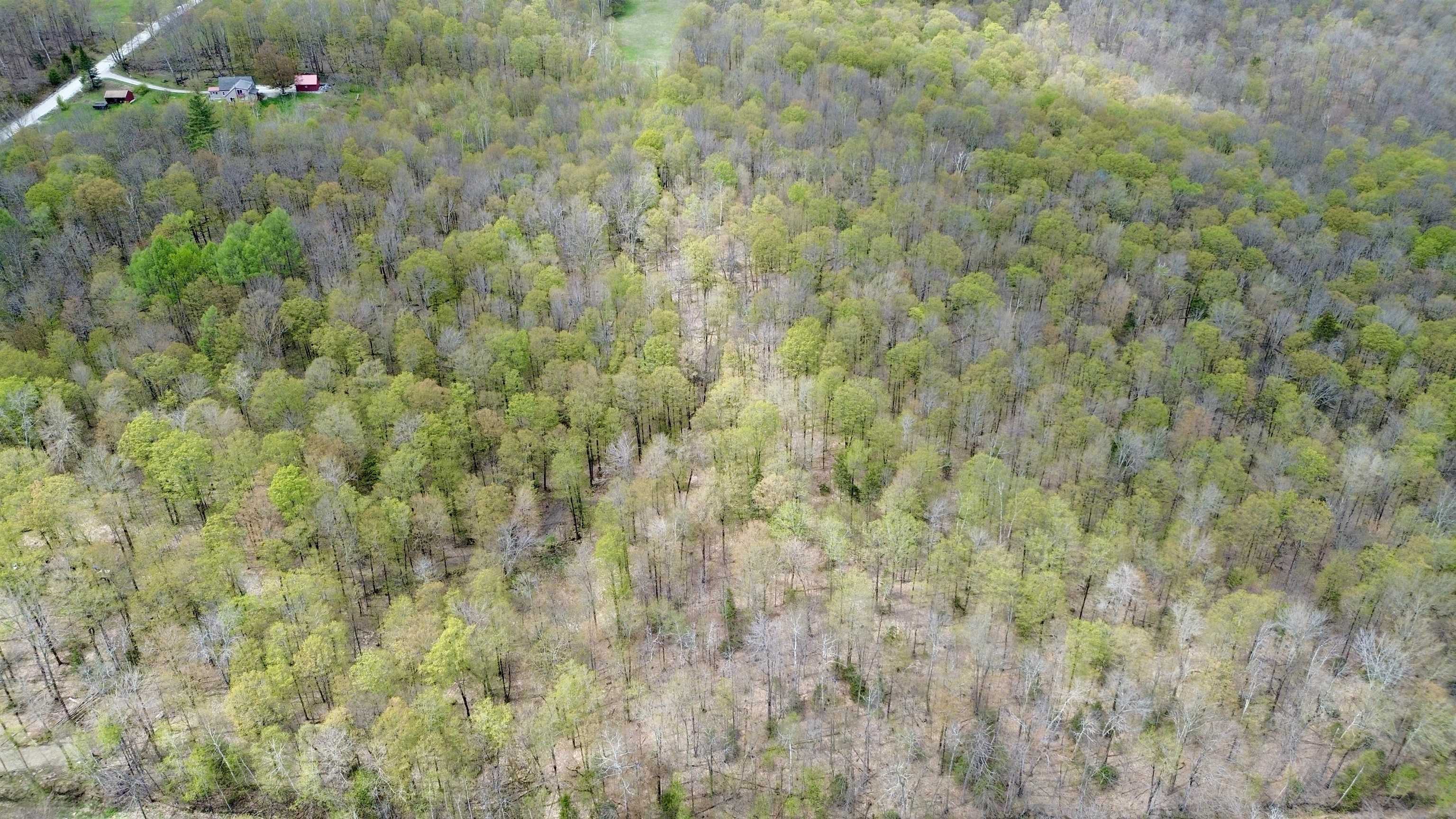 220 Middle Road Property Photo 13