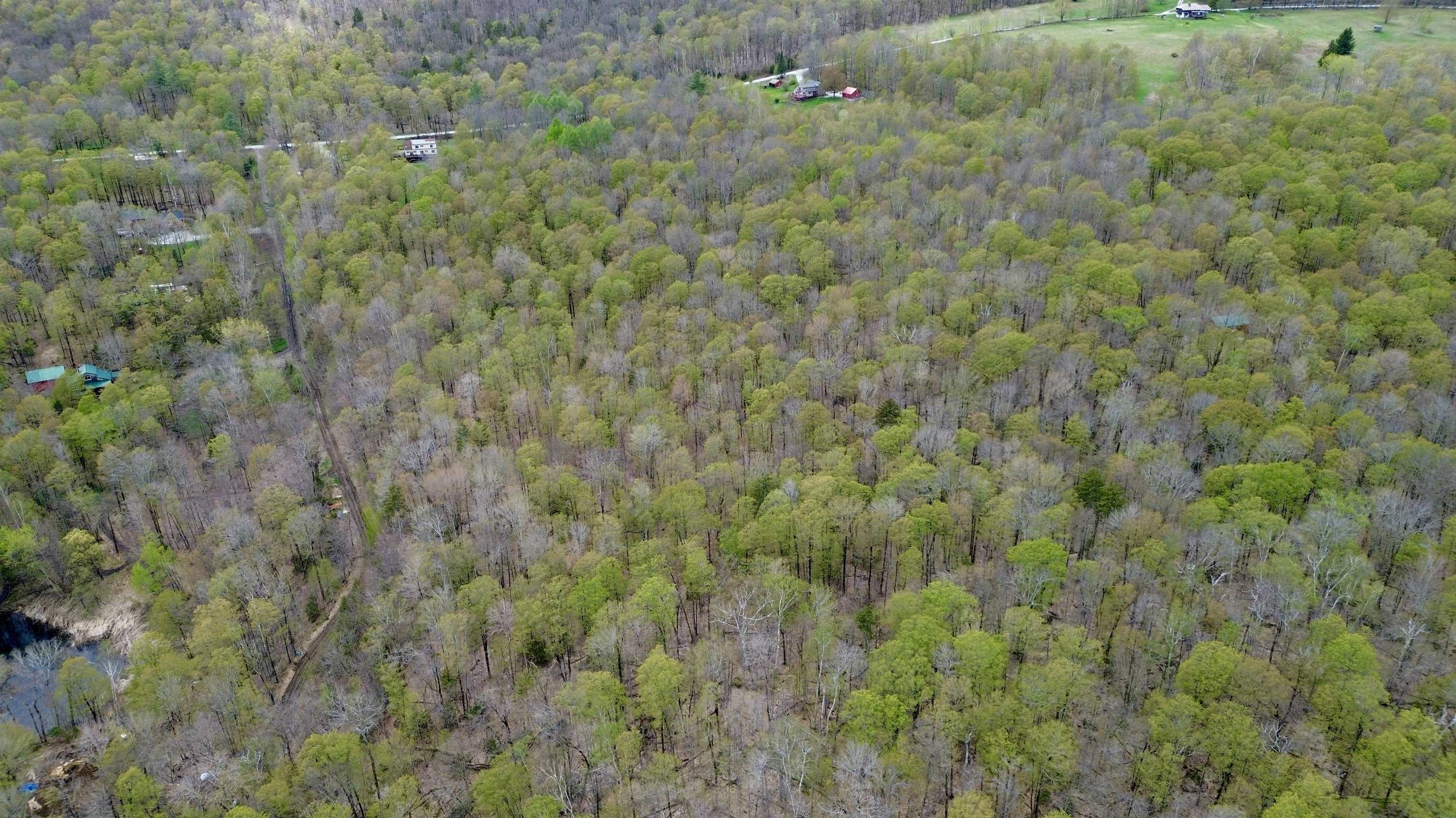 220 Middle Road Property Photo 14