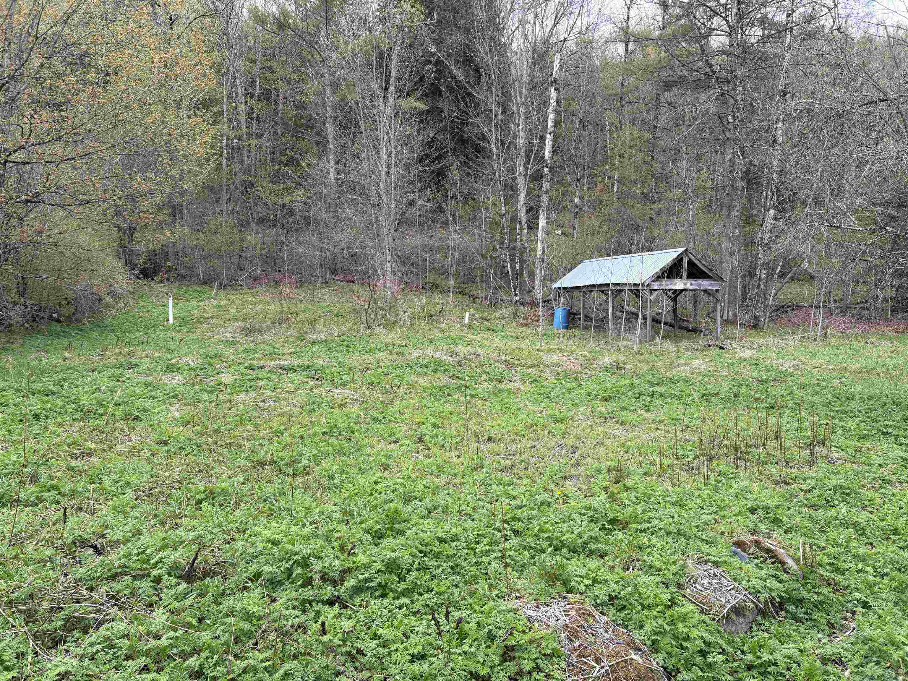 169 Bear Hill Road Property Photo 20