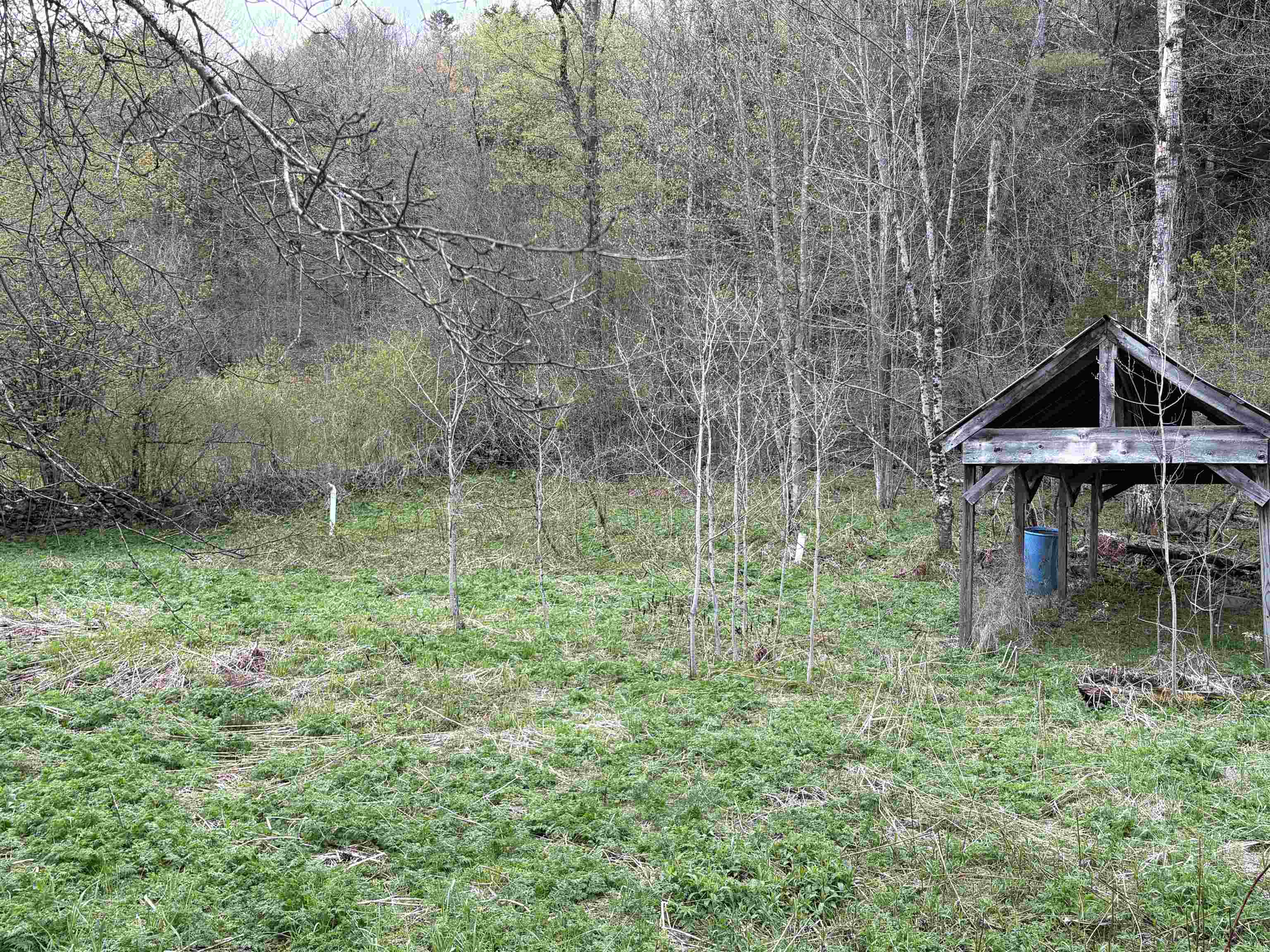 169 Bear Hill Road Property Photo 22